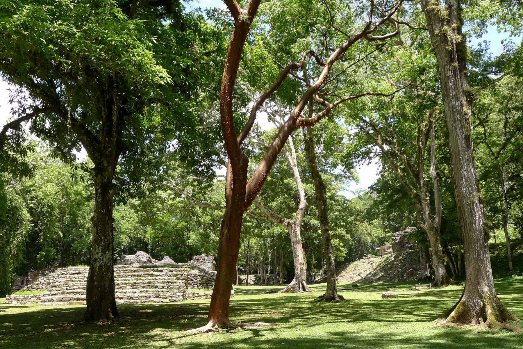 mexiko chiapas maya yaxchilan ballspielplatz  zentrale akropolis gran plaza