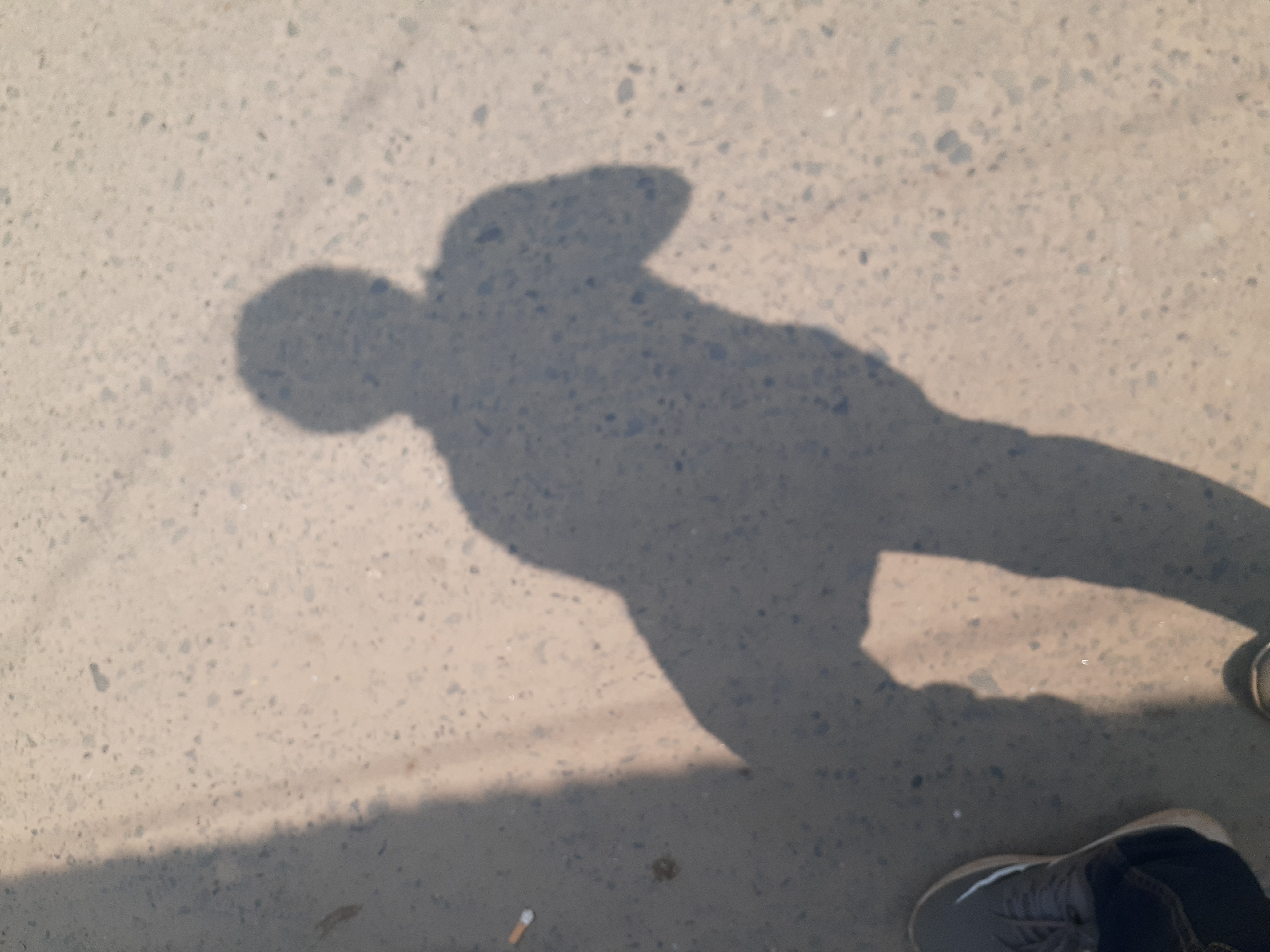 20230324_101815.jpg
