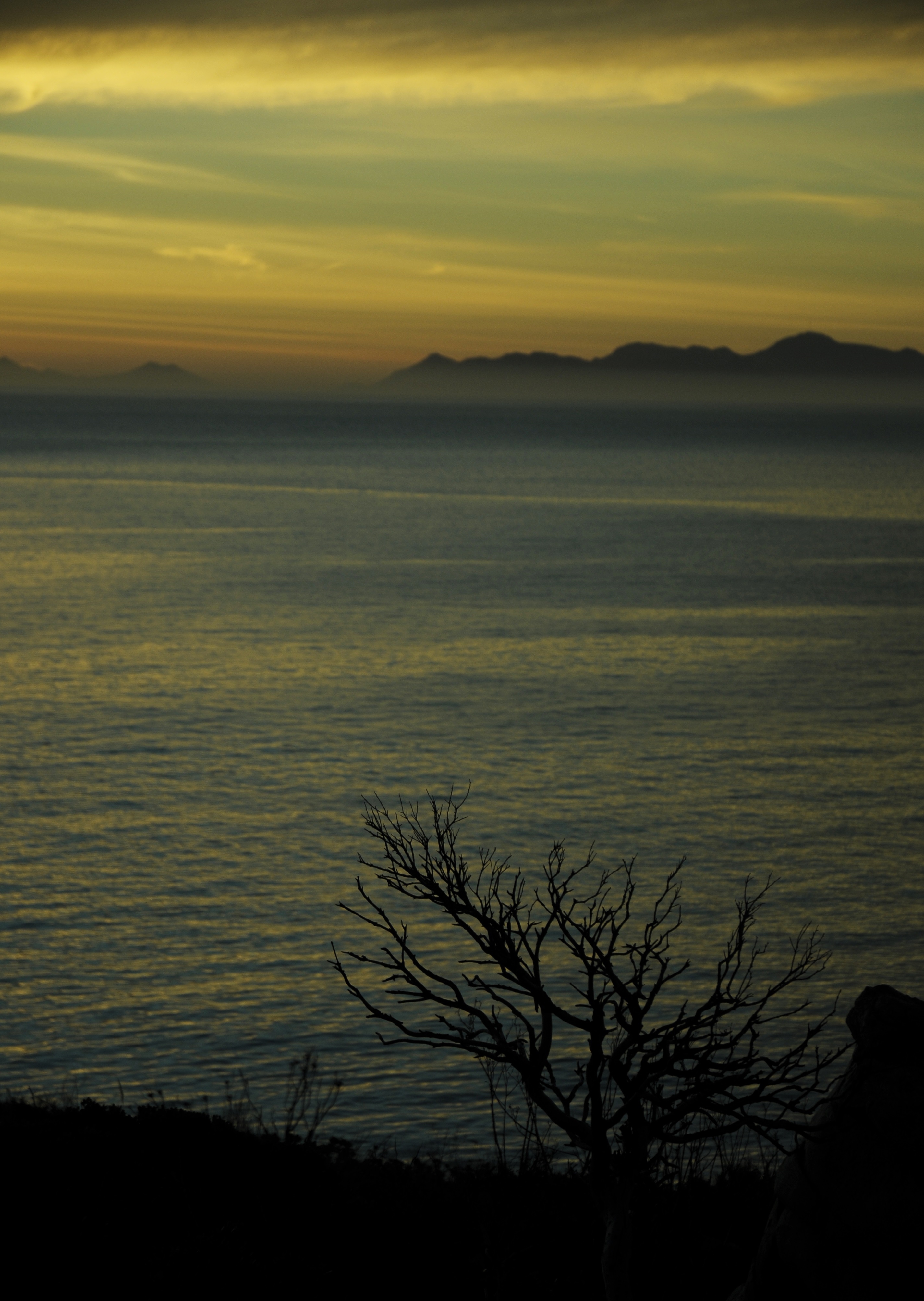 _DSC6661.JPG