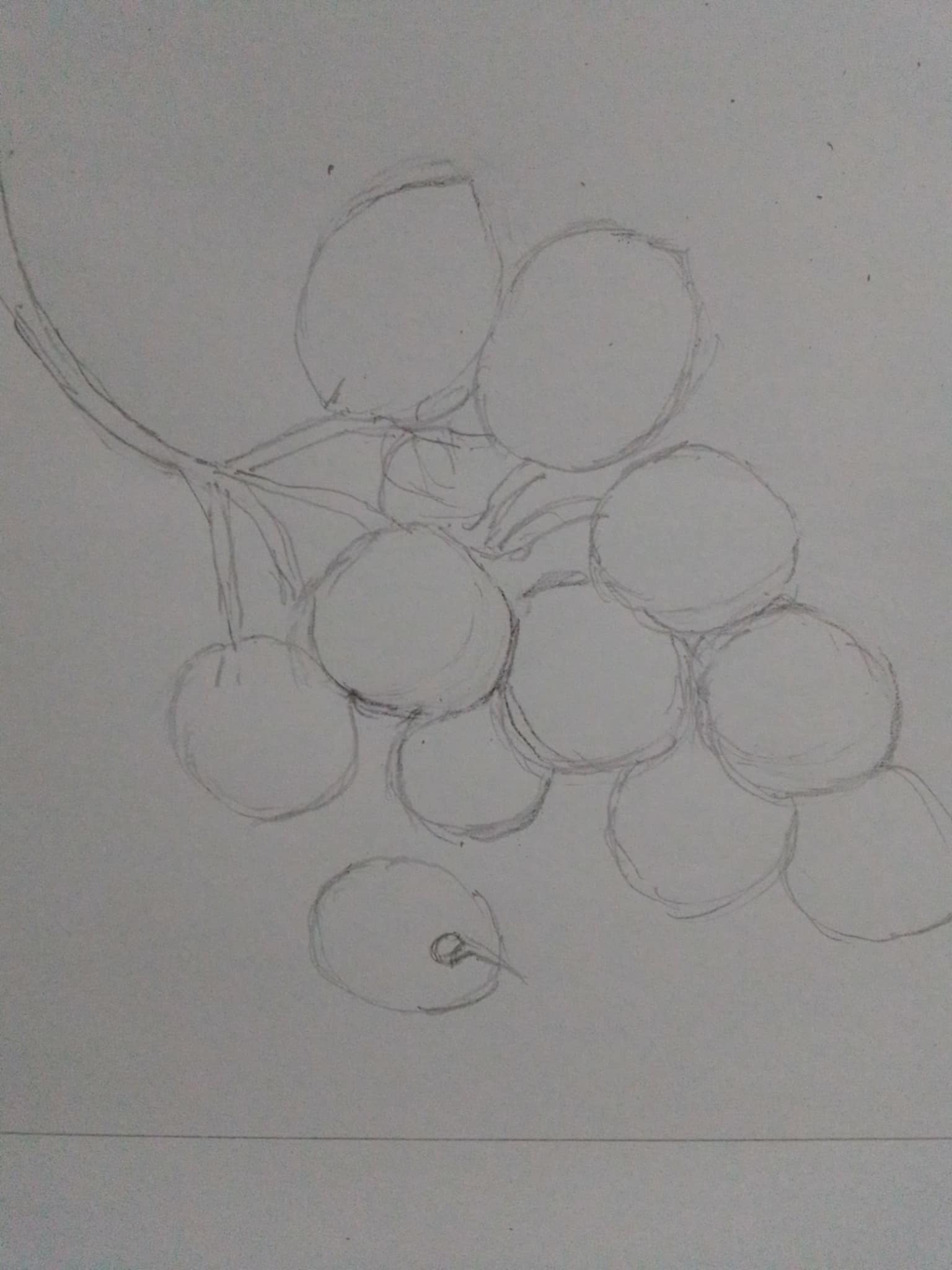 uv8.jpg
