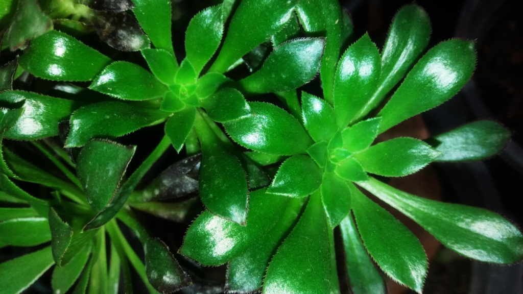 CYMERA_20201120_124656.jpg