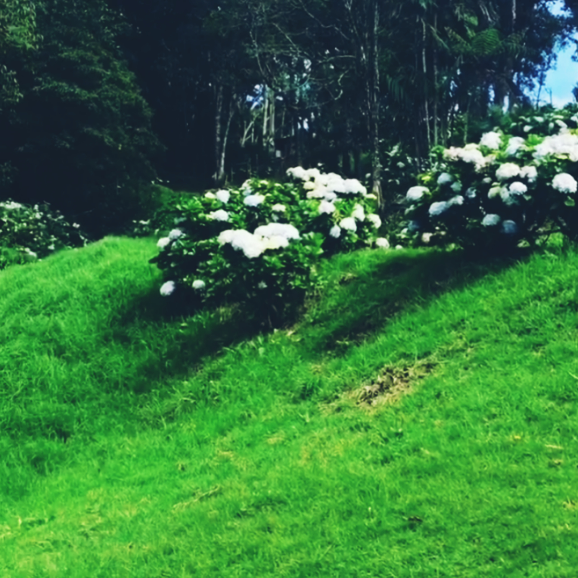 InShot_20220128_175329444.jpg