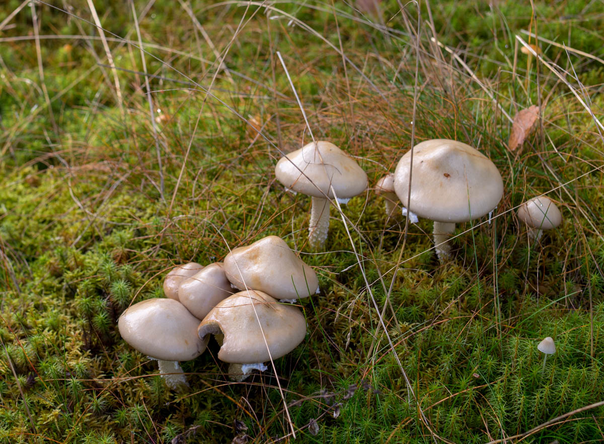 DSC03353.jpg
