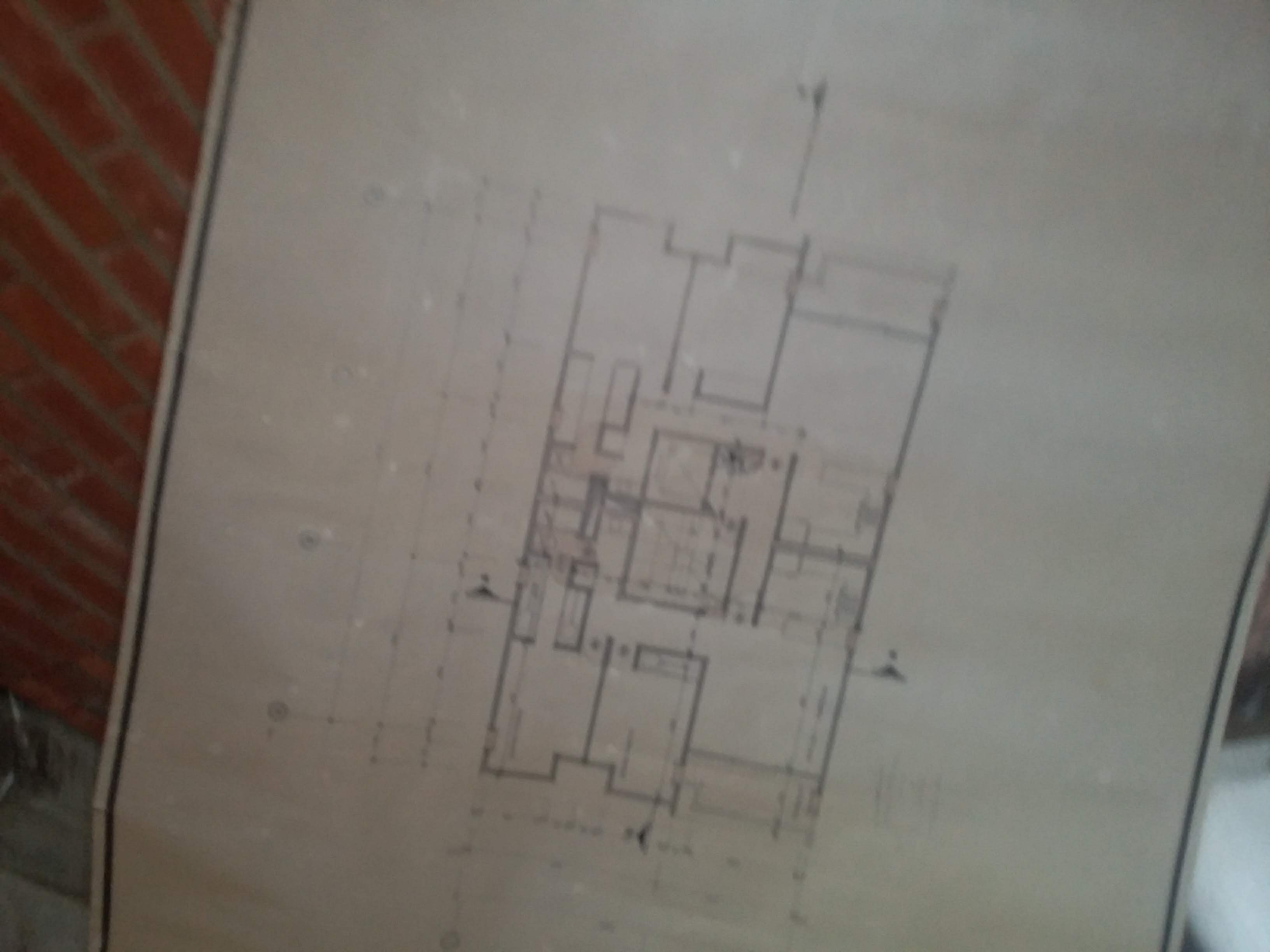 20220310_110726.jpg
