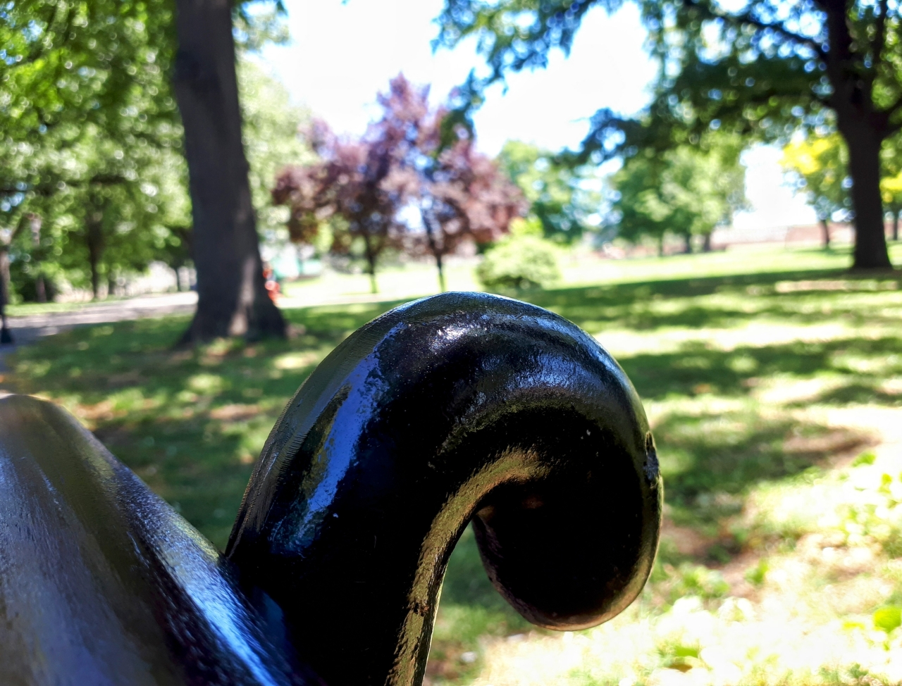 20200701_115622.jpg