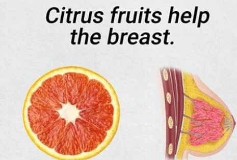 you-really-are-what-you-eat-citrus-fruits-help-the-18287270.jpg