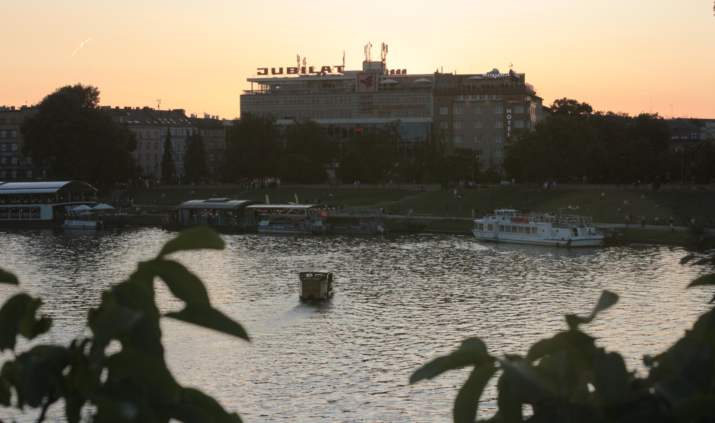 IMG_7401-crop.JPG