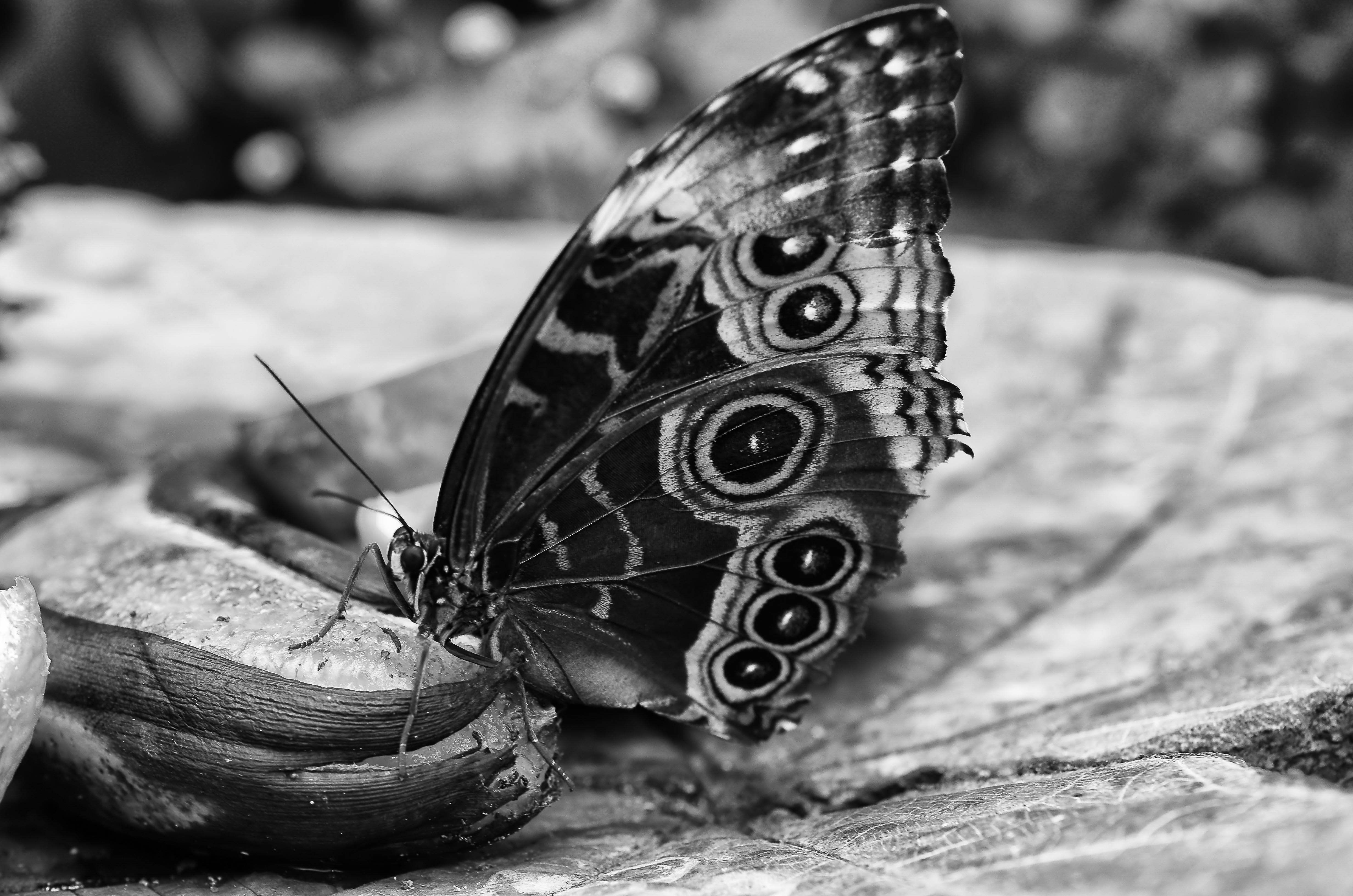 Calgary Zoo May 28 2012-3616-Edit.JPG