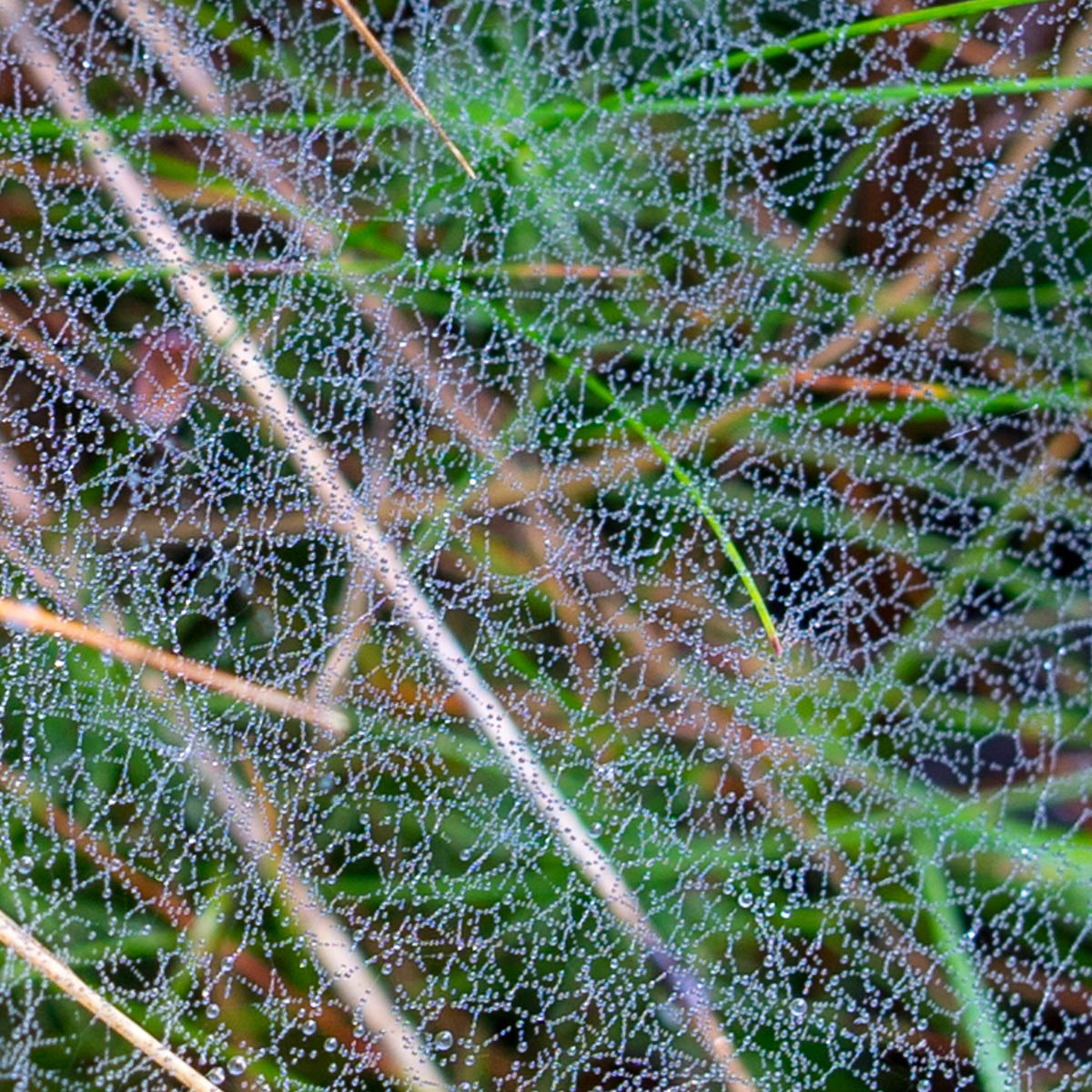 DSC03355.jpg