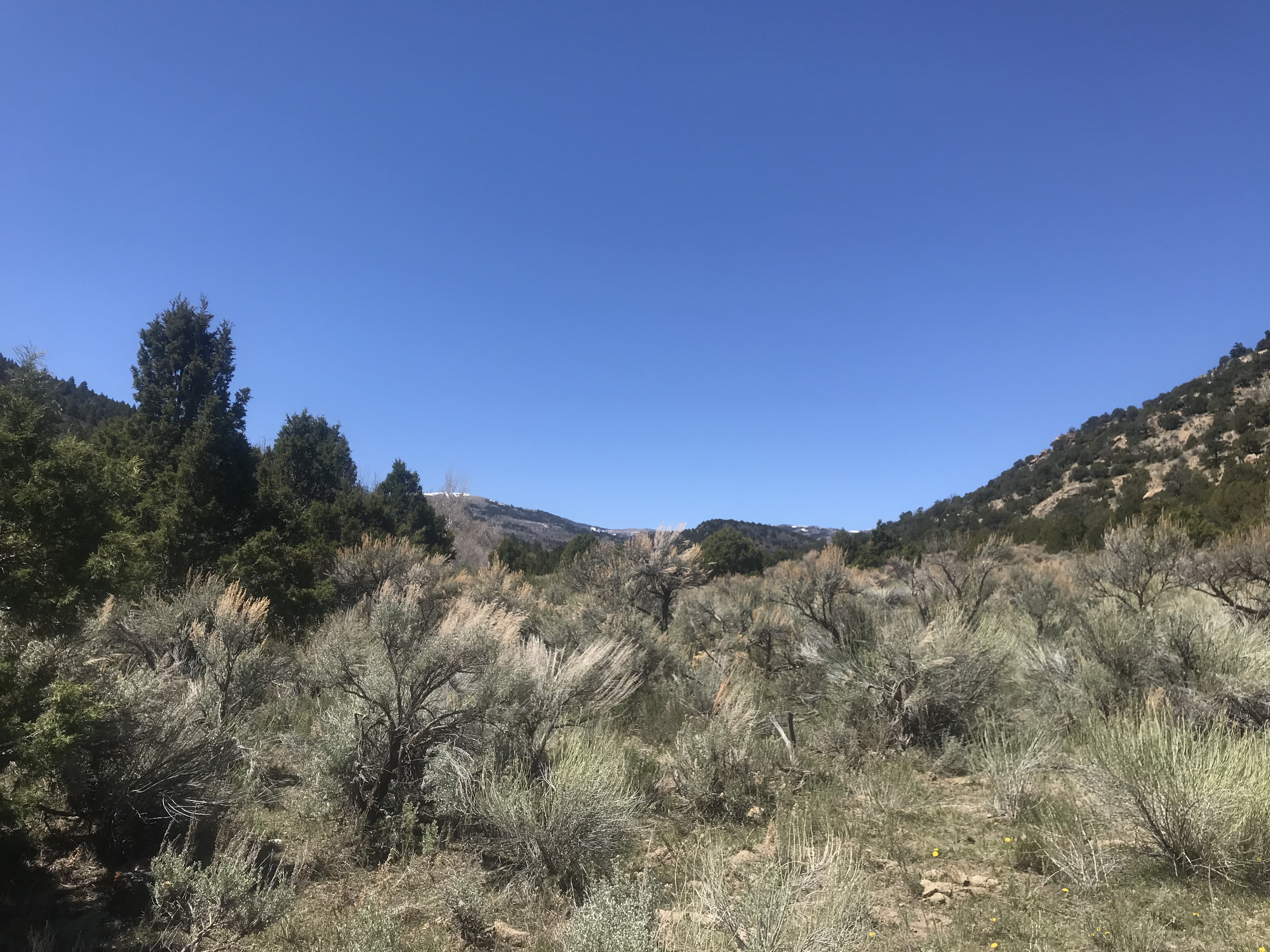 9E7530F8-B645-4230-AD9C-76409B833D95.jpeg