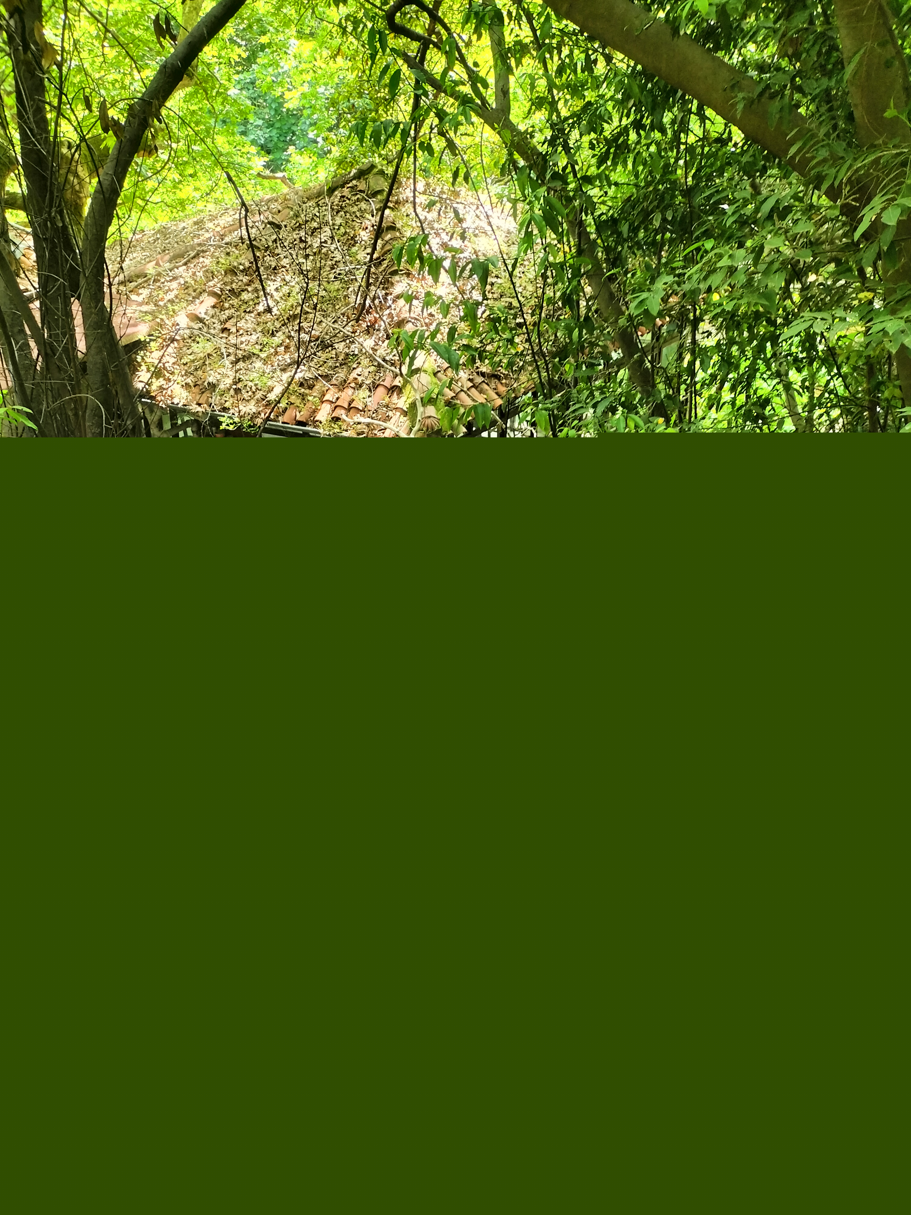 IMG20250511152330.jpg
