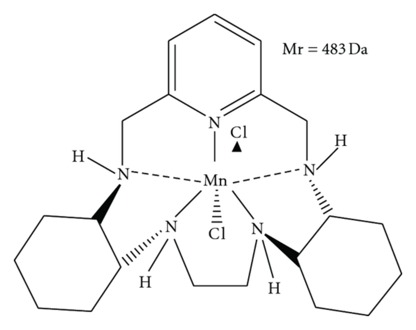 The-three-dimensional-3D-structure-of-human-manganese-superoxide-dismutase-a-and-that.png