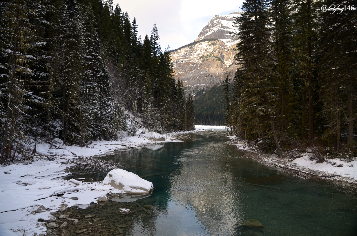 mount robson (11).jpg