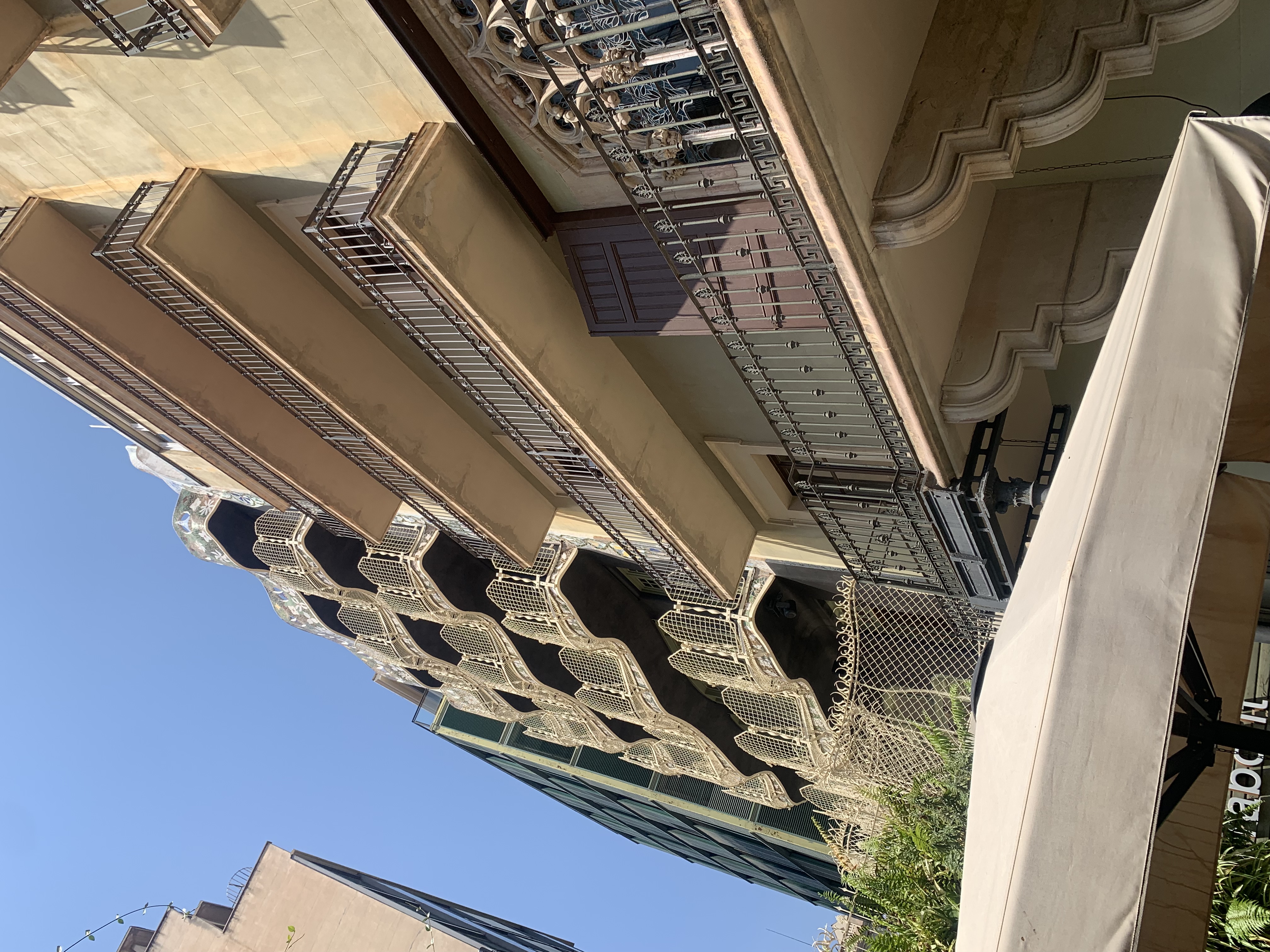 IMG_1884.jpeg