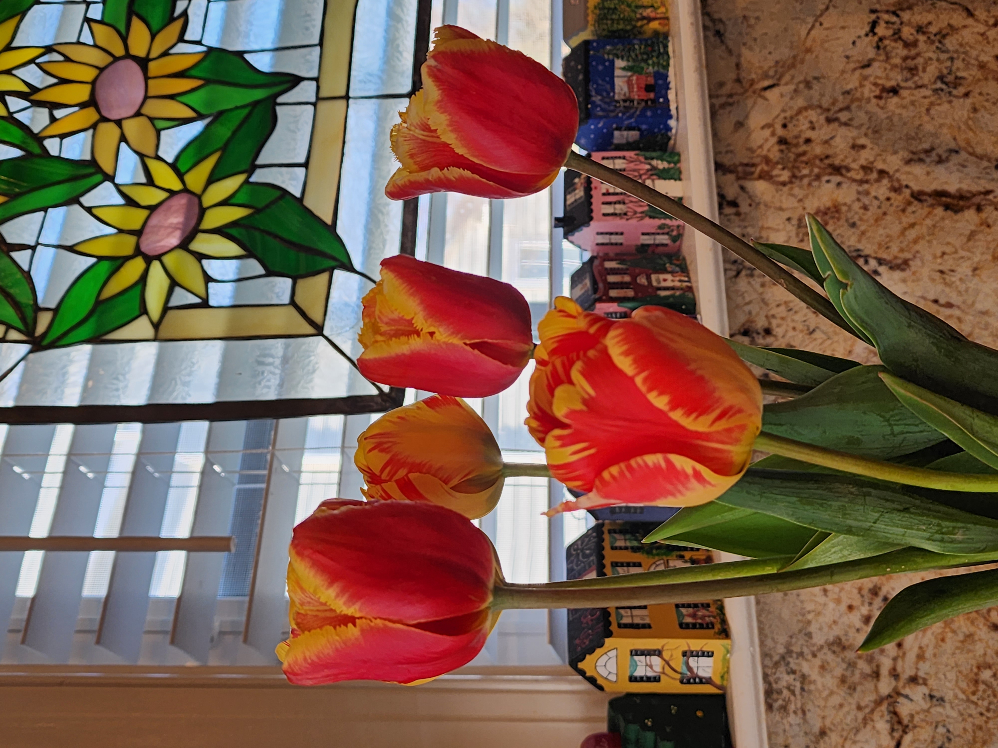 20230411_175557.jpg