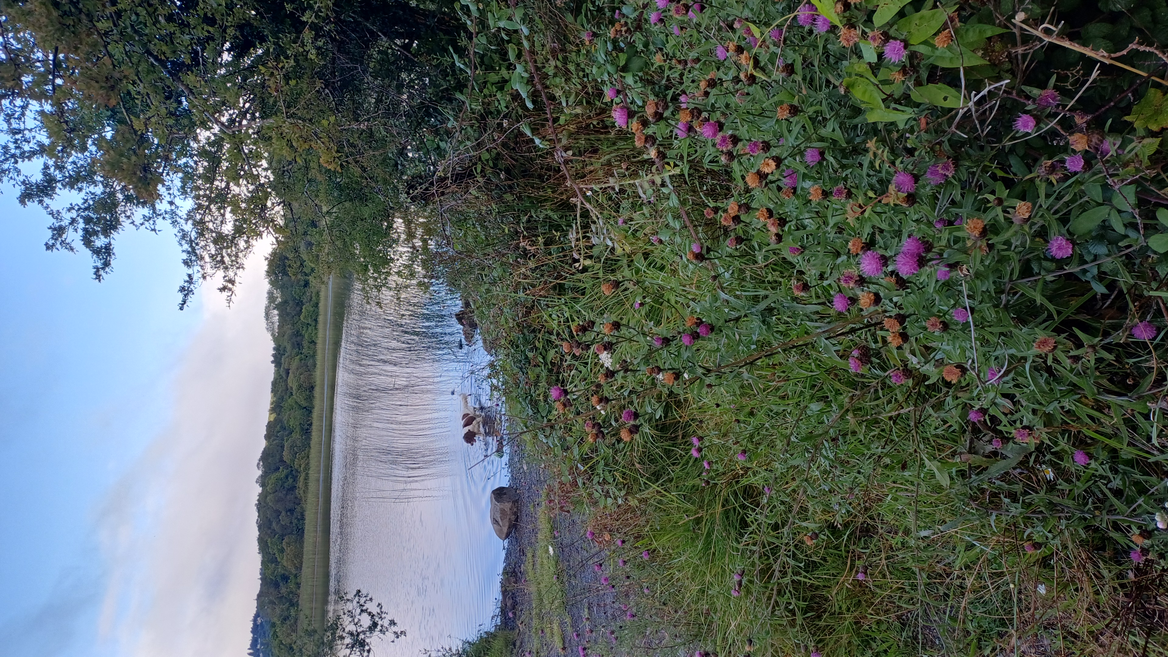 IMG-20250729-WA0018.jpeg