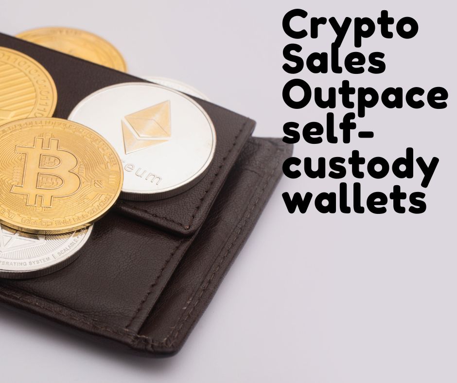 Crypto Sales Outpace selfcustody wallets.jpg