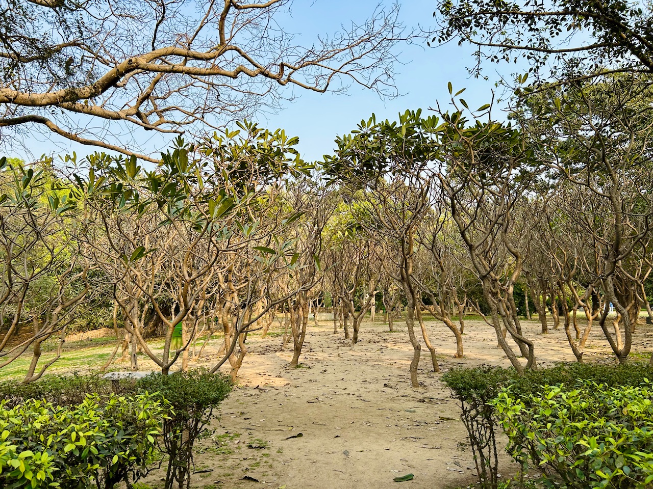 IMG_8661.jpeg