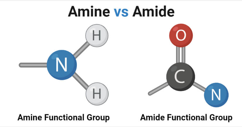 Amines-vs-Amides-988624189.jpeg