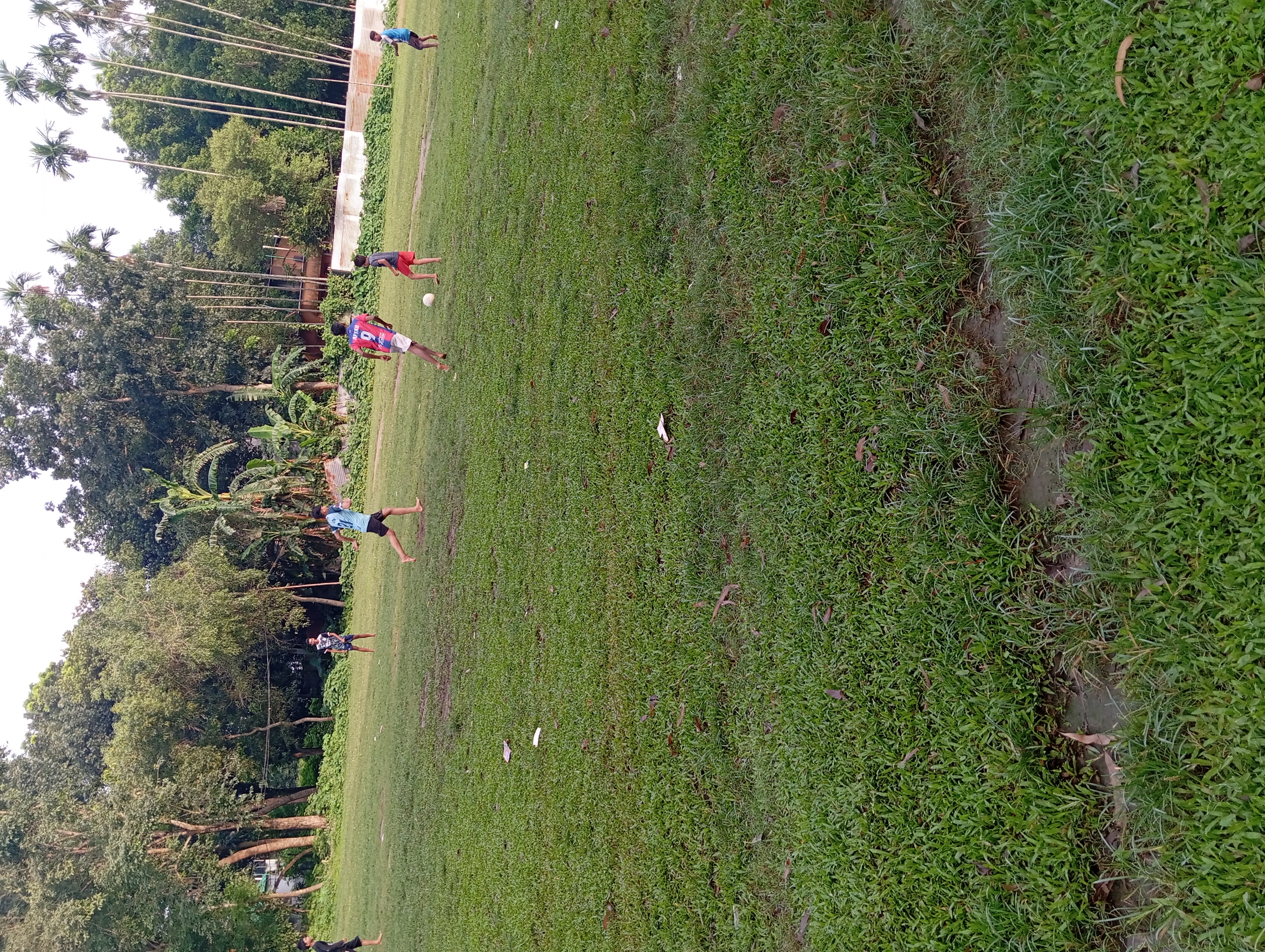 IMG_20250718_070925.jpg