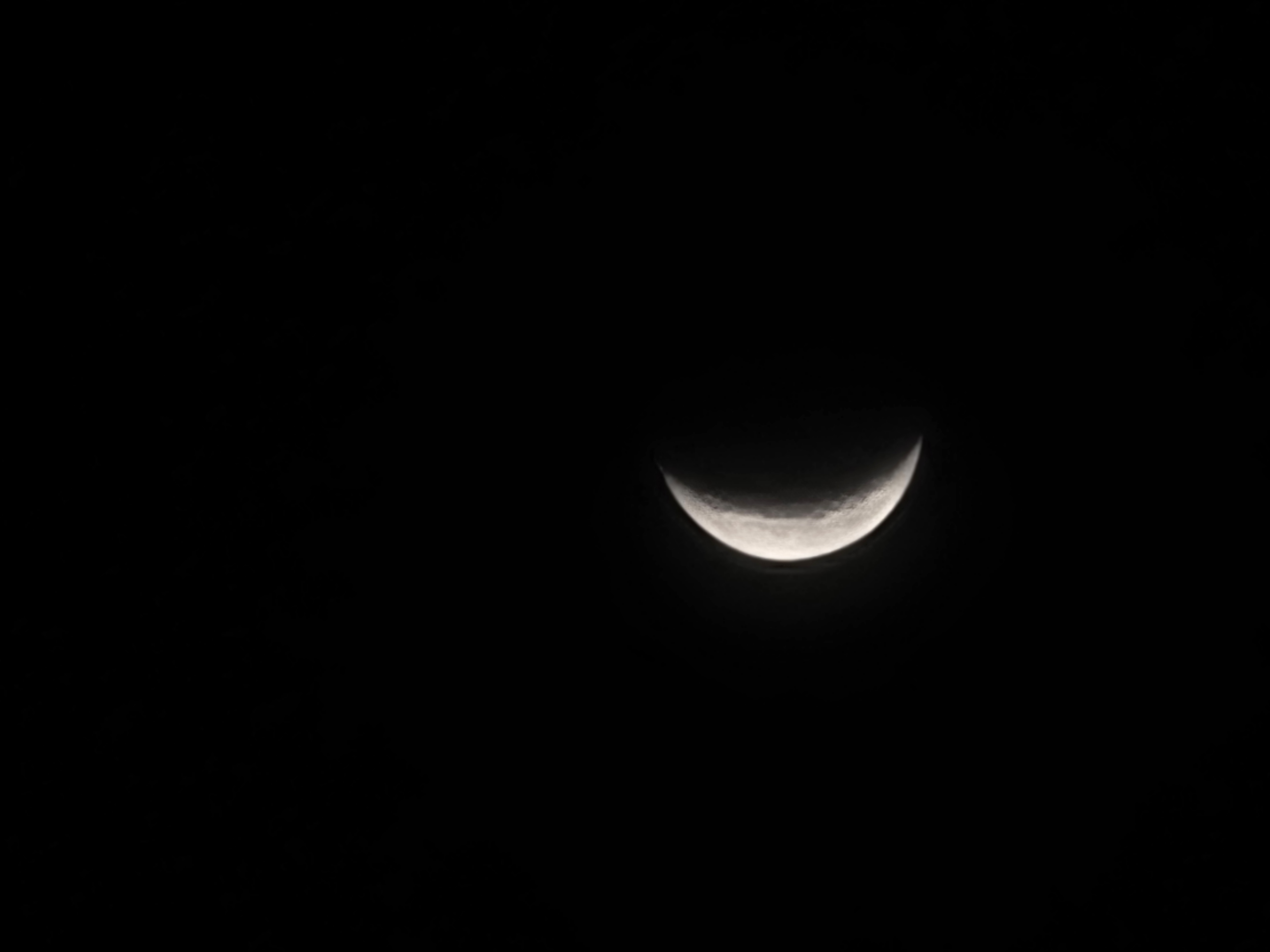 20250501_190645.jpg