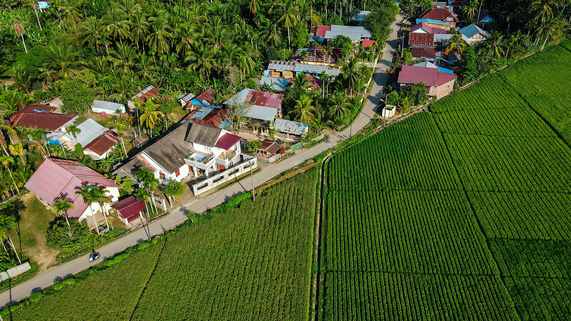 dji_fly_20221029_162350_541_1667035776753_photo.jpg