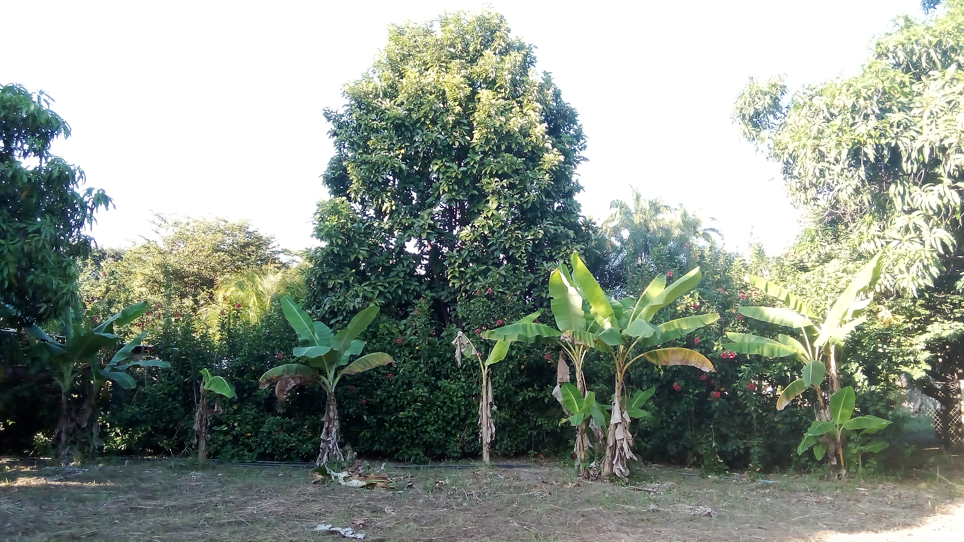 IMG-20231203-WA0156.jpeg