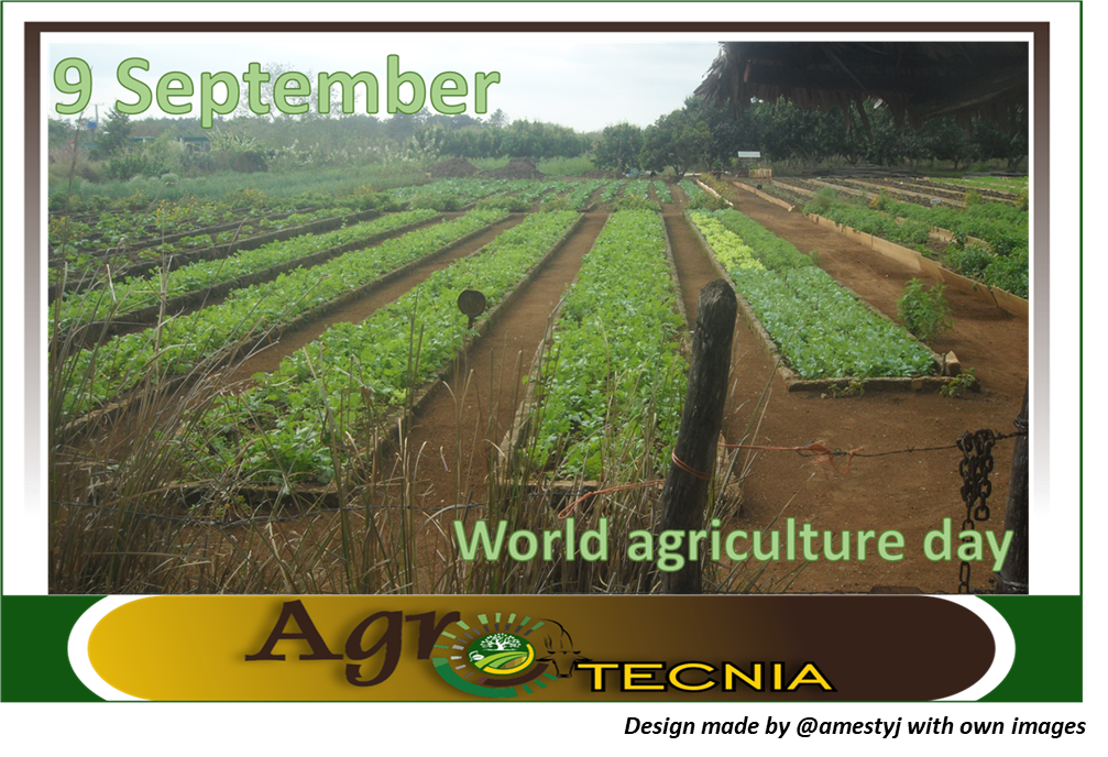 September 9 world agriculture day — Hive