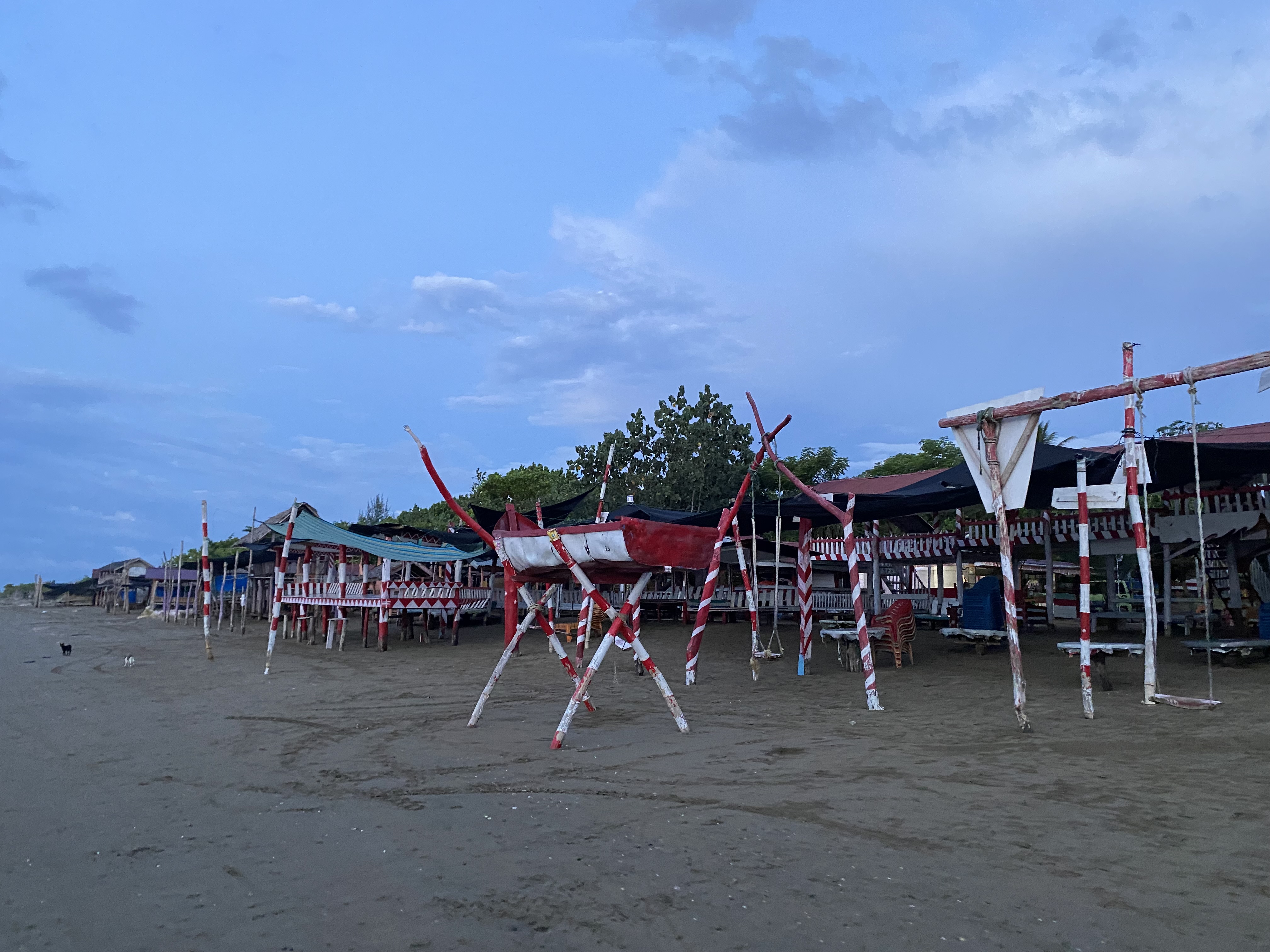 IMG_0215.jpeg