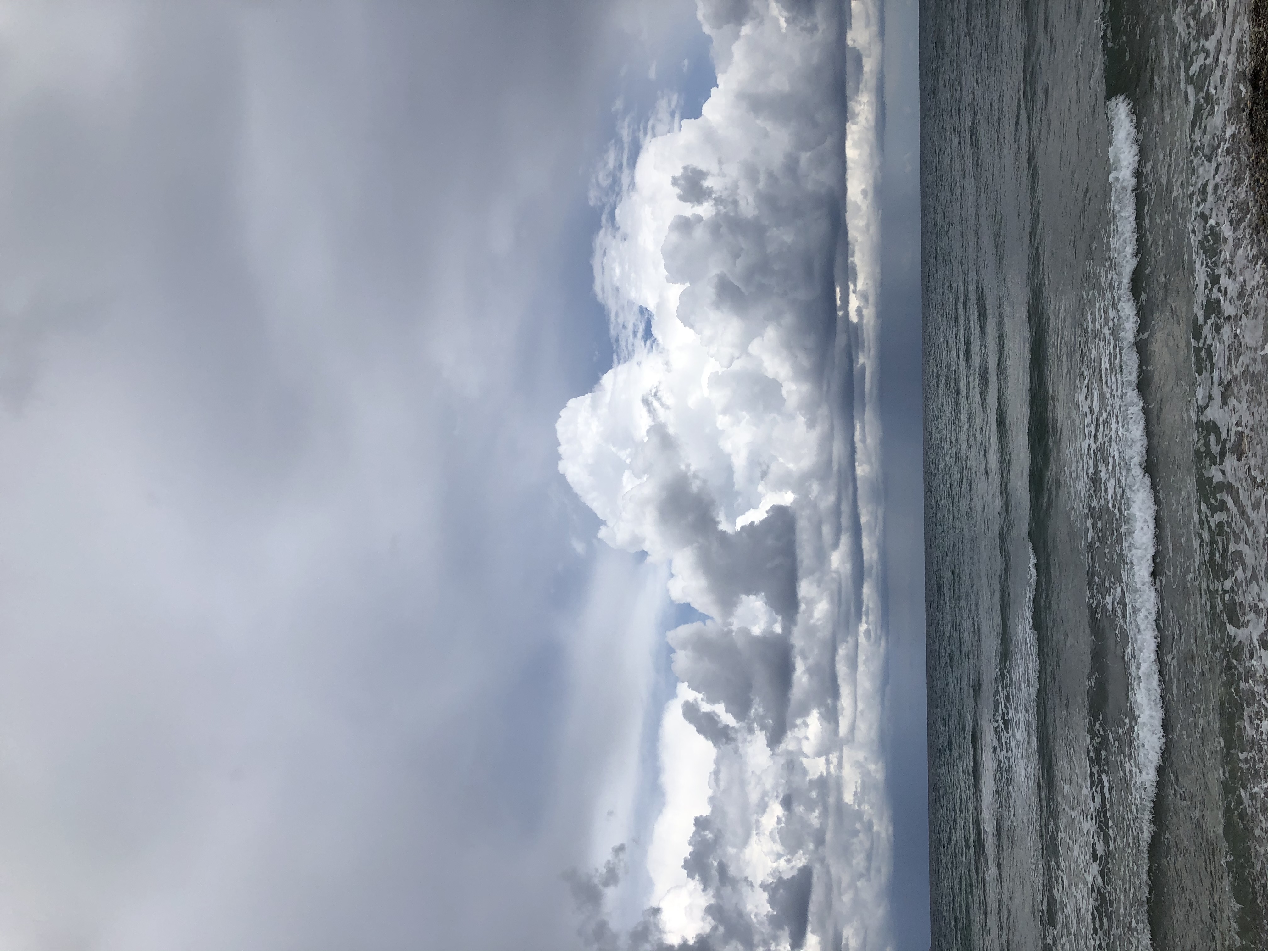 58202BF1-C733-4379-B506-C2FFCAD22E47.jpeg