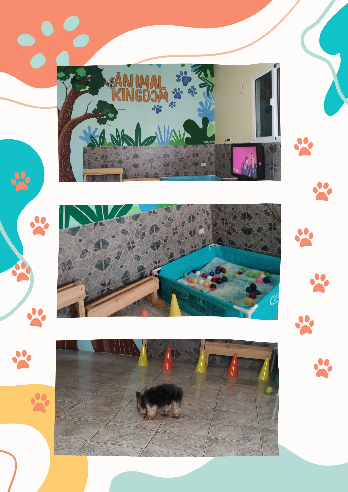 Documento A4 Póster de Fotografías Perro Mascota Adorable Blanco y Coral_20250722_215101_0000.png