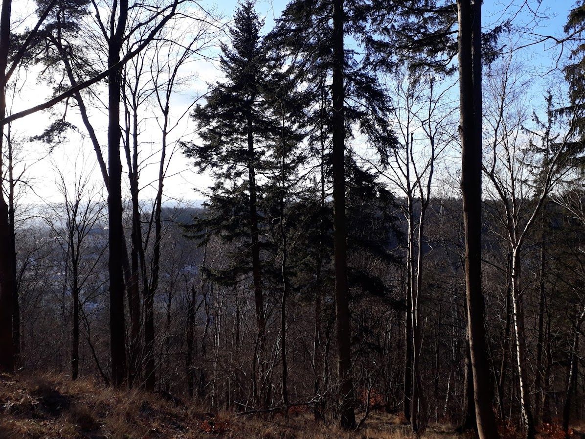 footer_image_13512635565.png