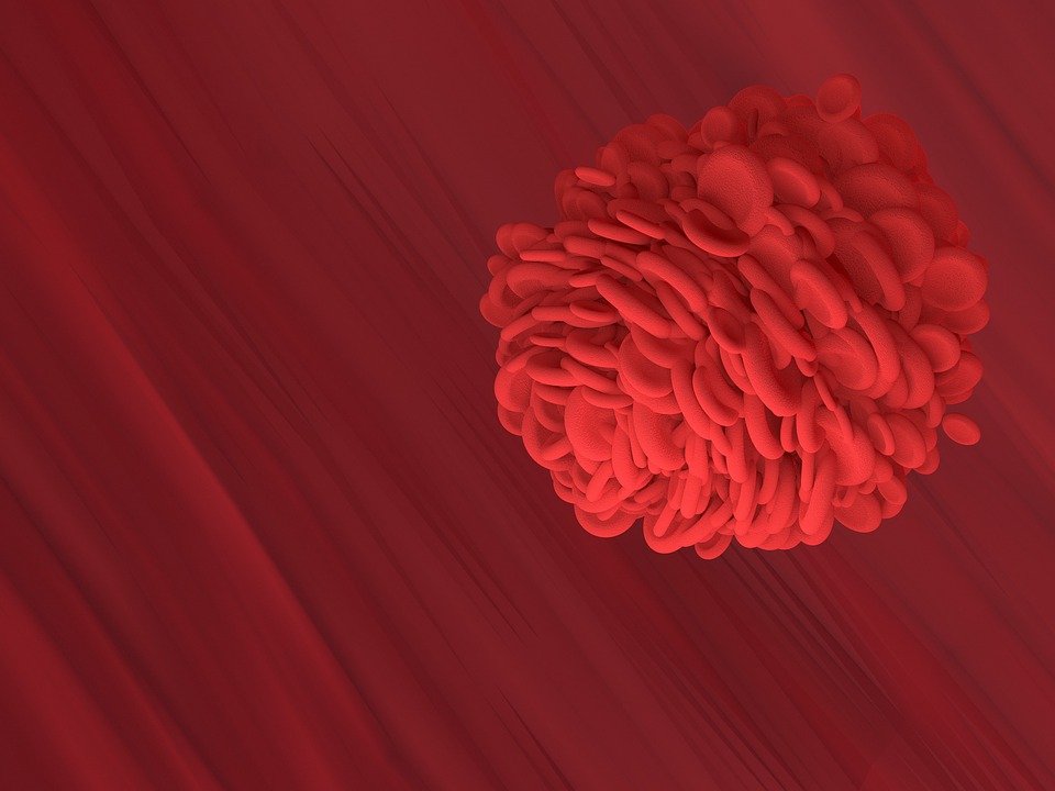 red-blood-cell-4761777_960_720.jpg