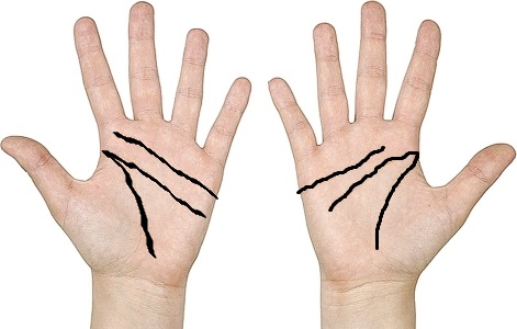 hands(marked).jpg