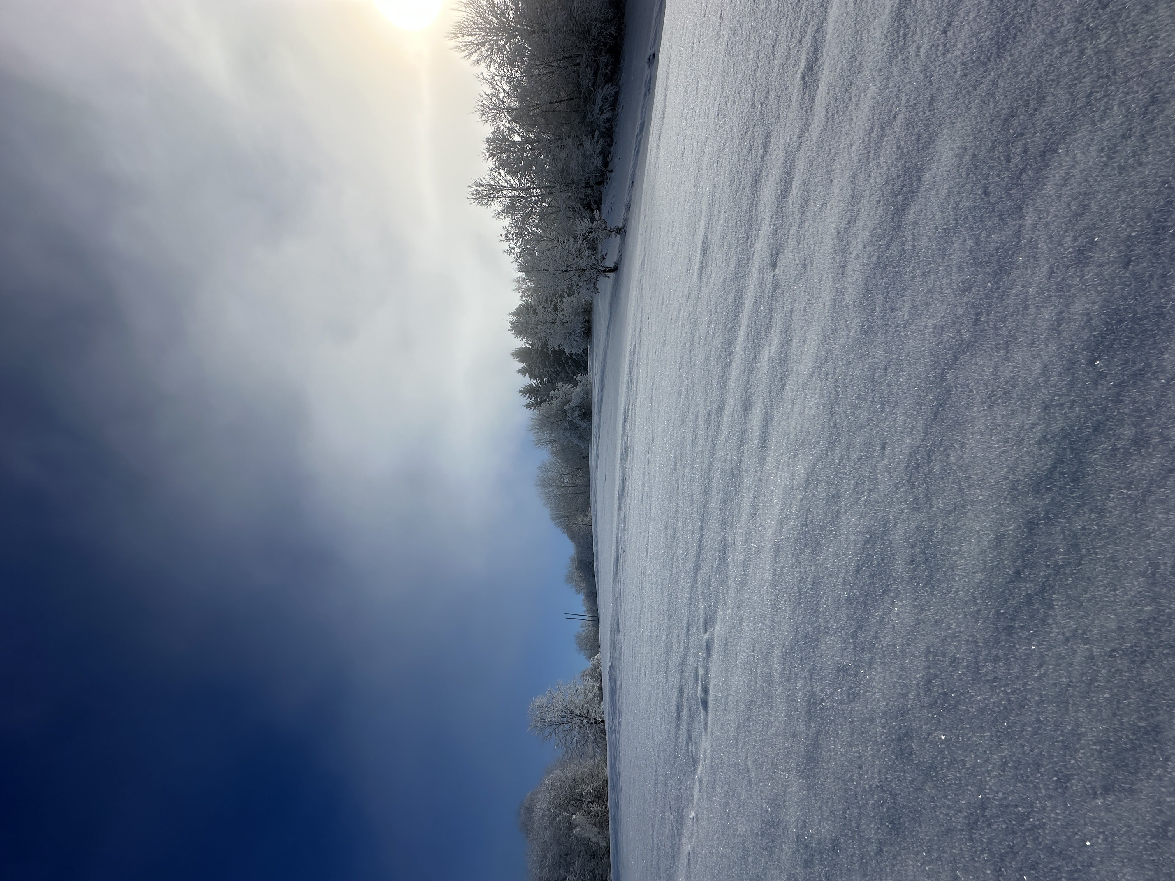 IMG_4709.jpeg