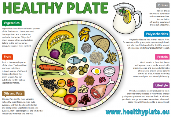 healthy-plate-560x385.png