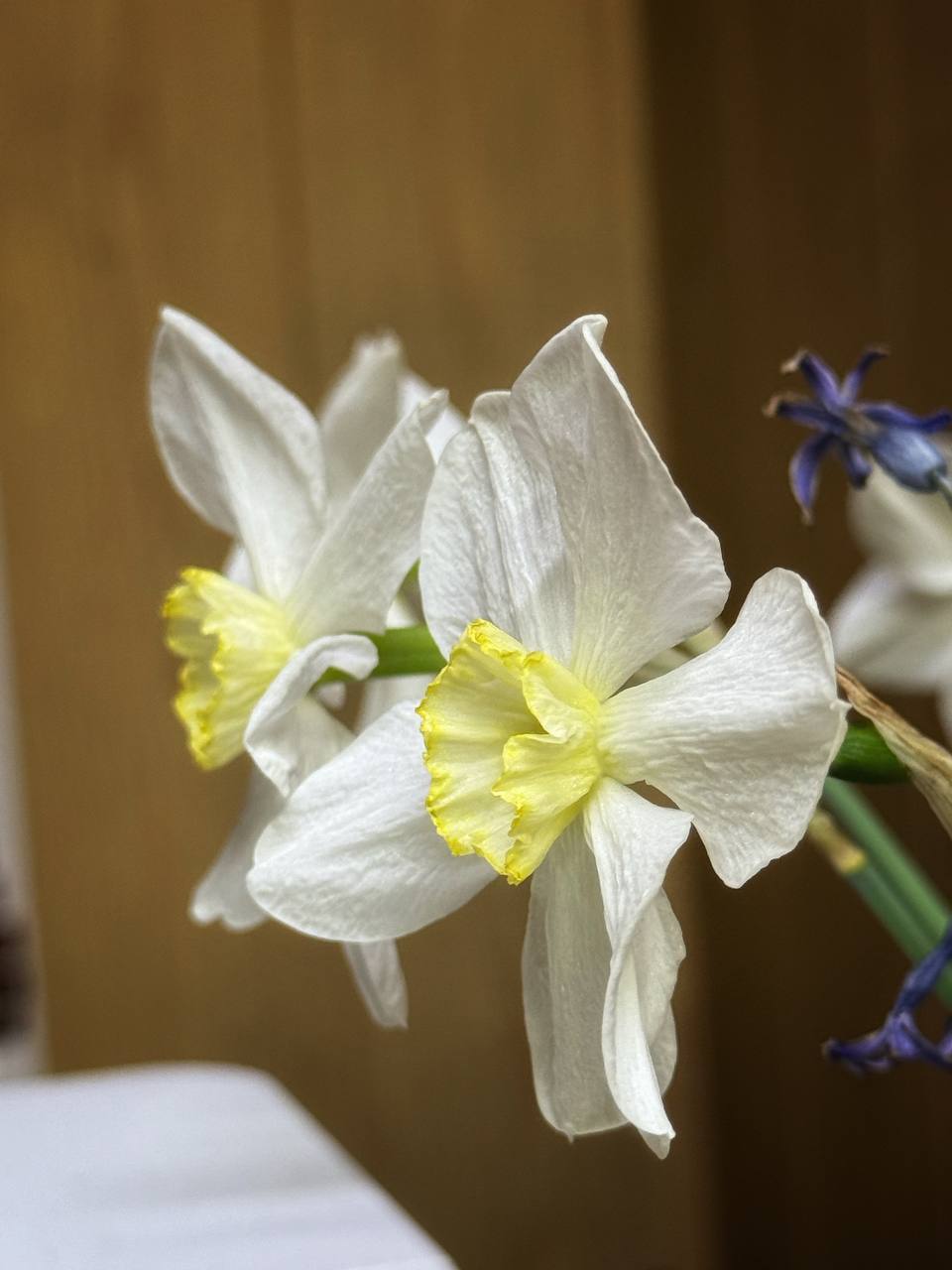 IMG_2559.jpeg