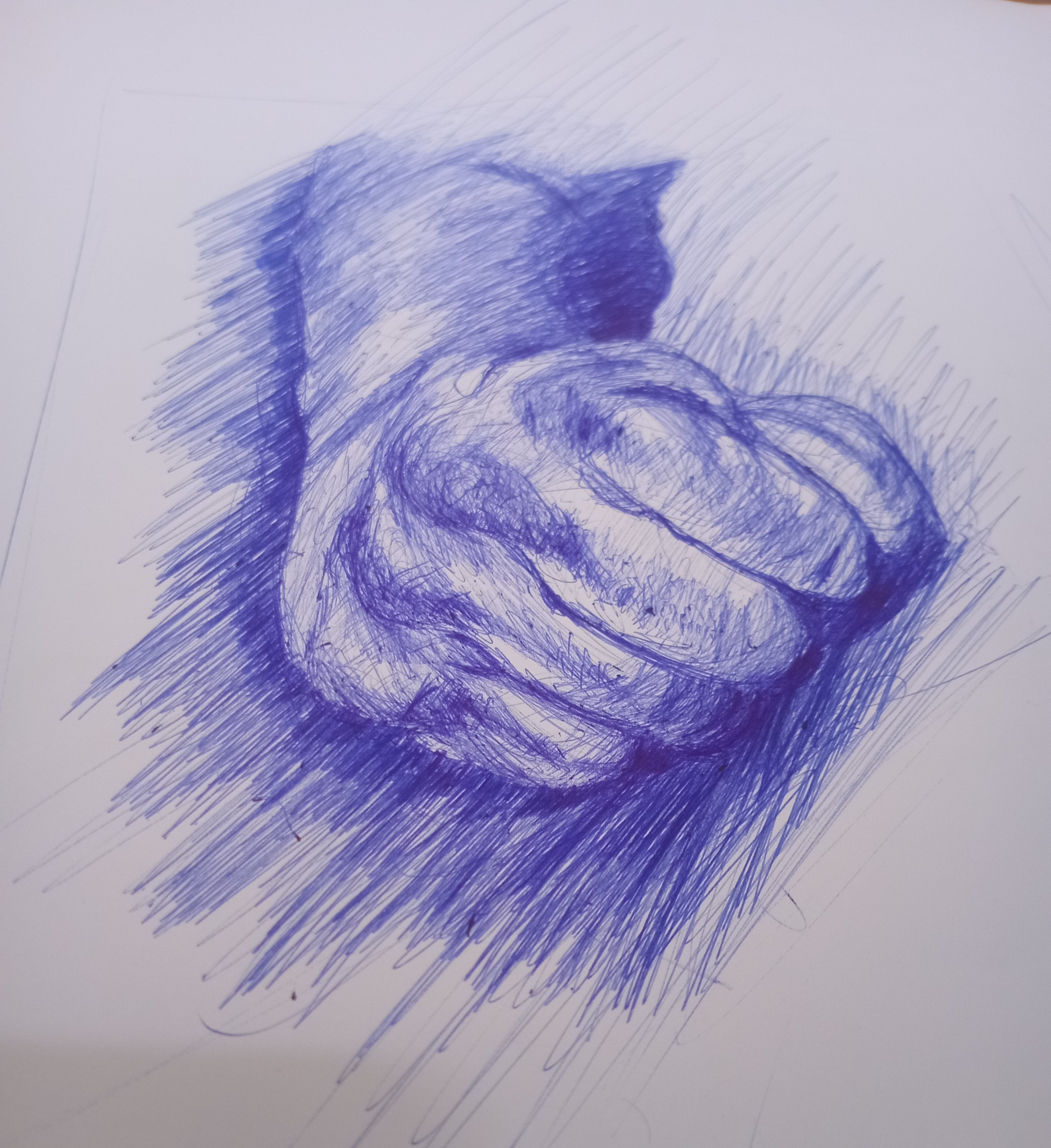 20250620_144217.jpg