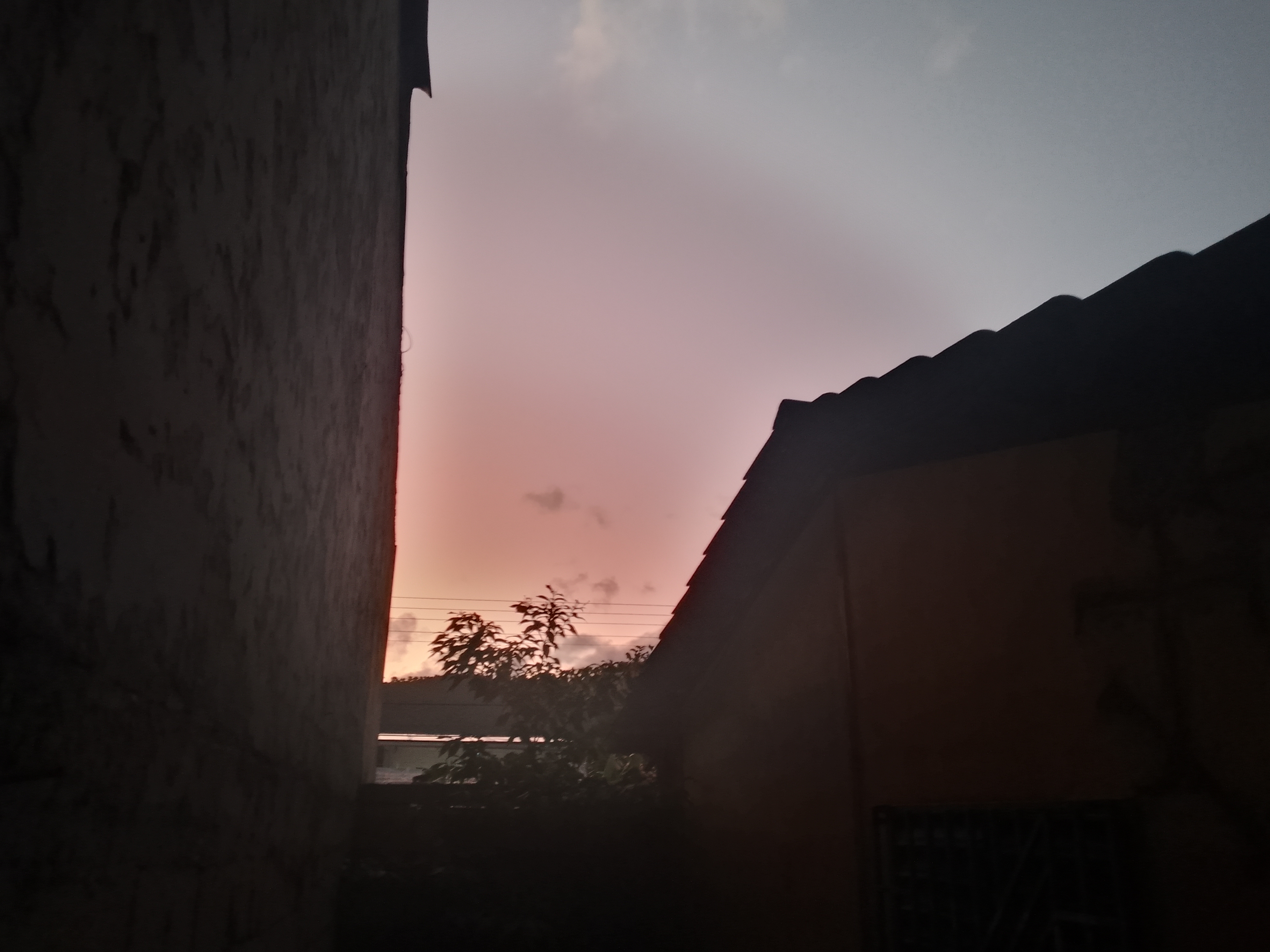 Disfrutando de un amanecer.