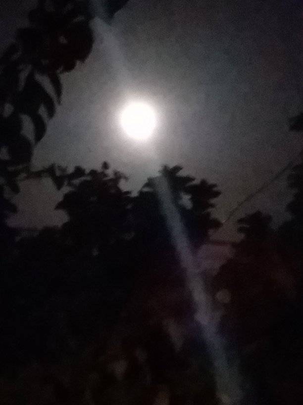 luna 2.jpg