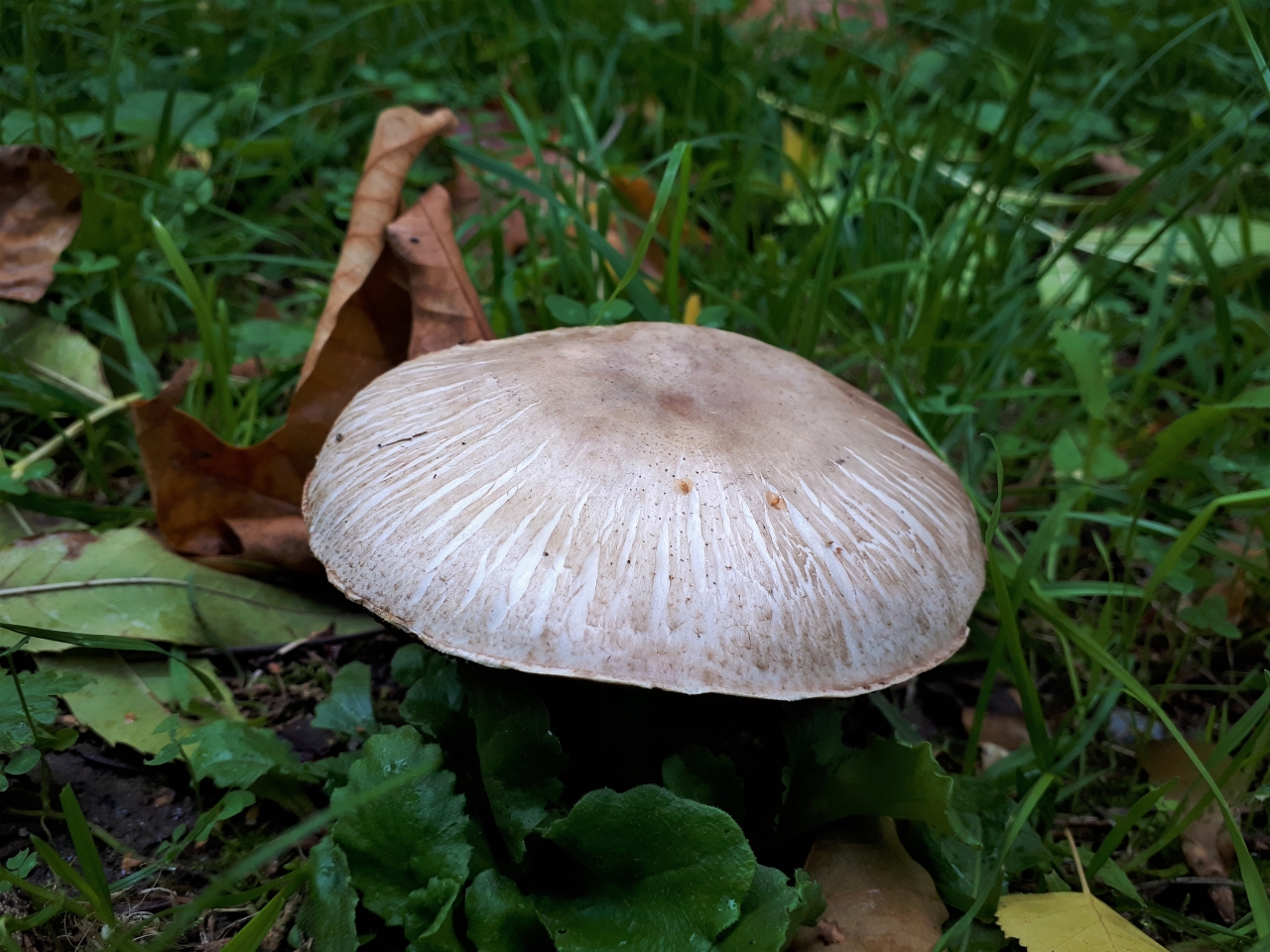 20221003_093149.jpg