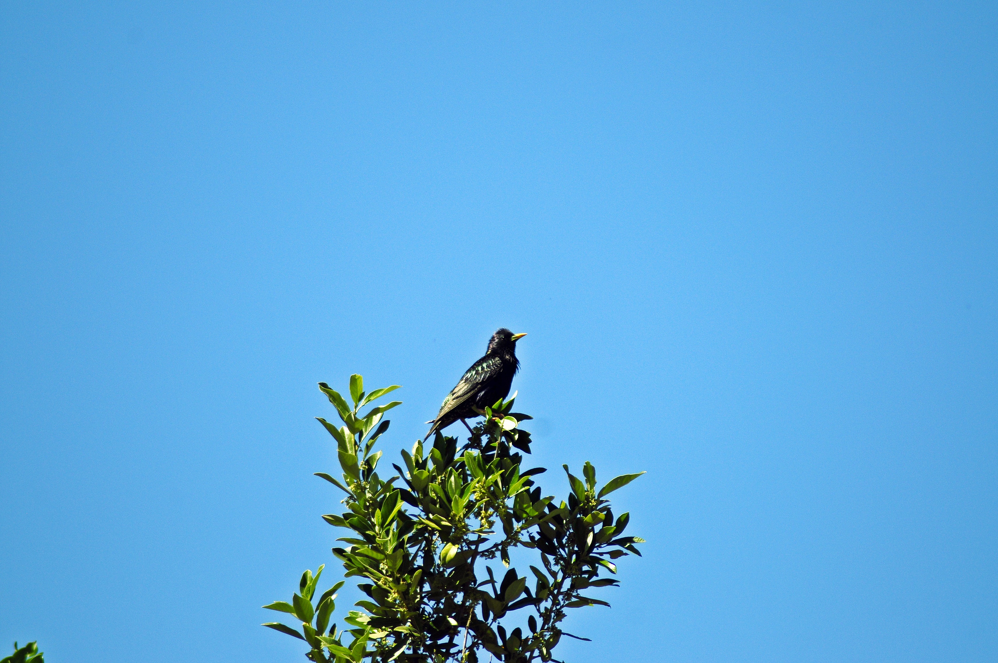 _DSC5156.JPG