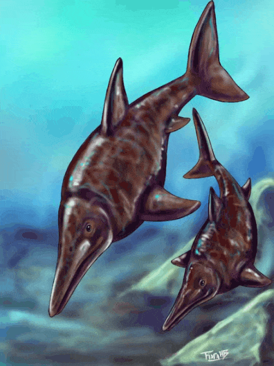 Ichthyosaurus.gif