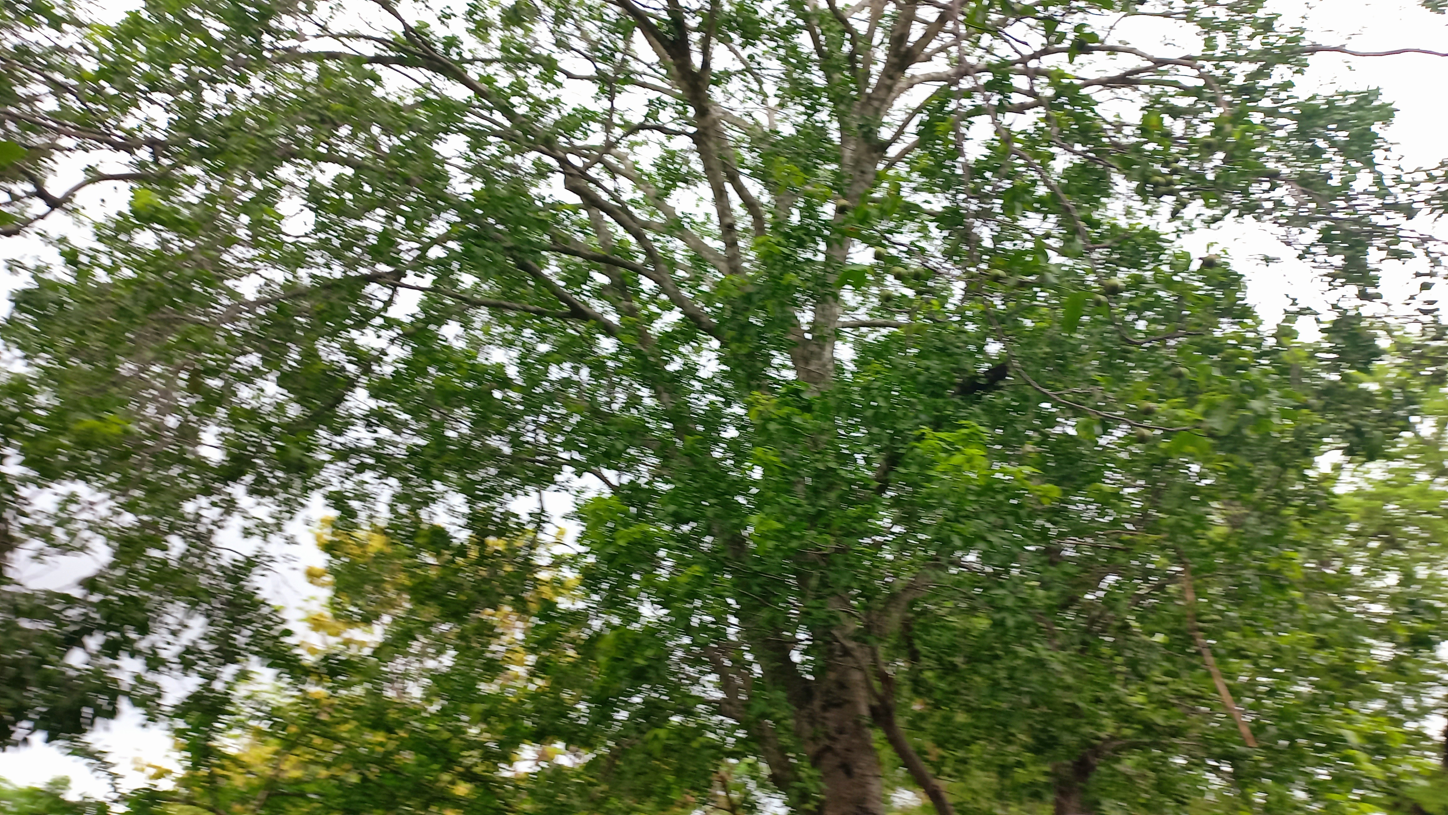 20250519_120032.jpg