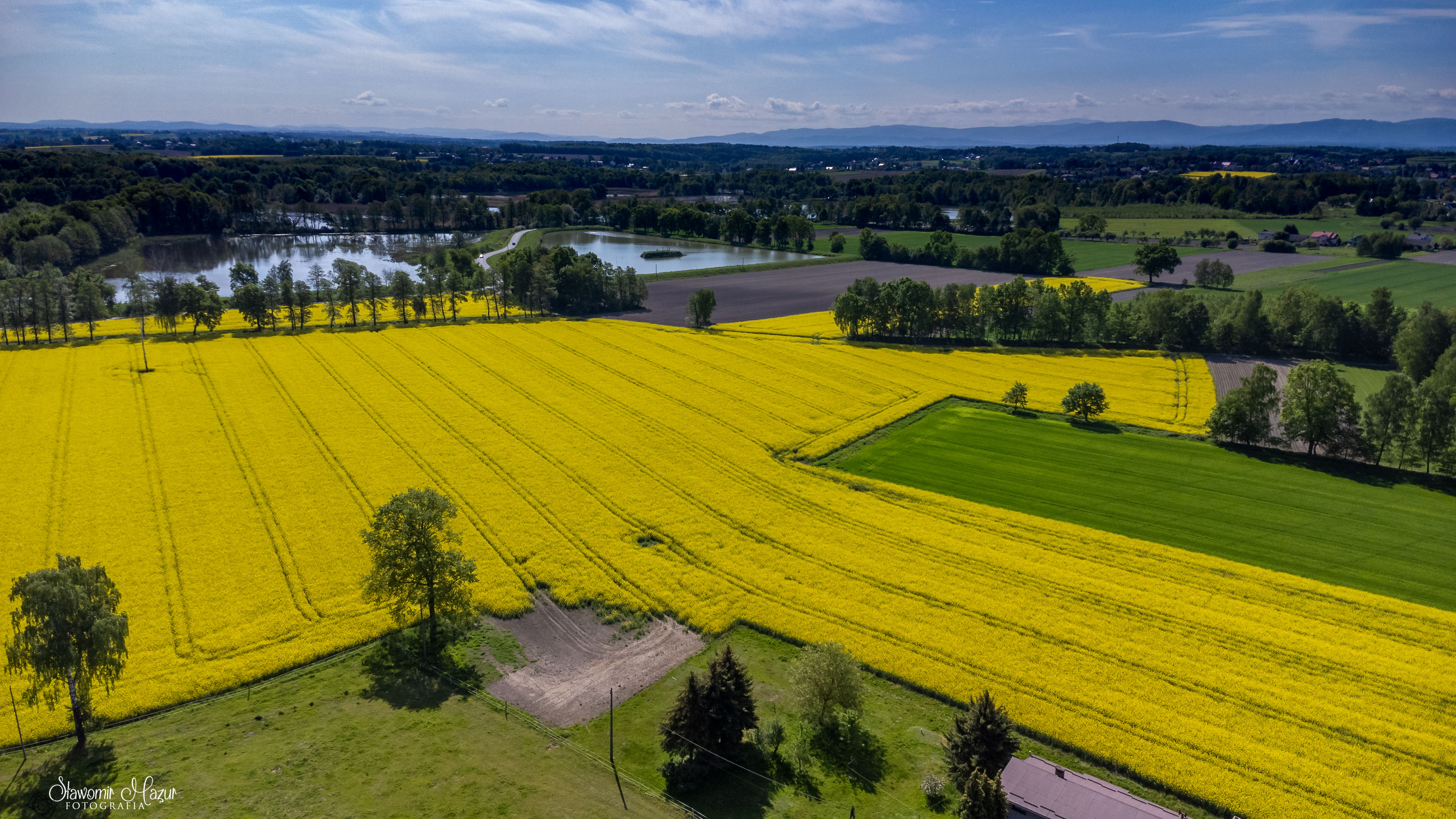 DJI_0521.jpg