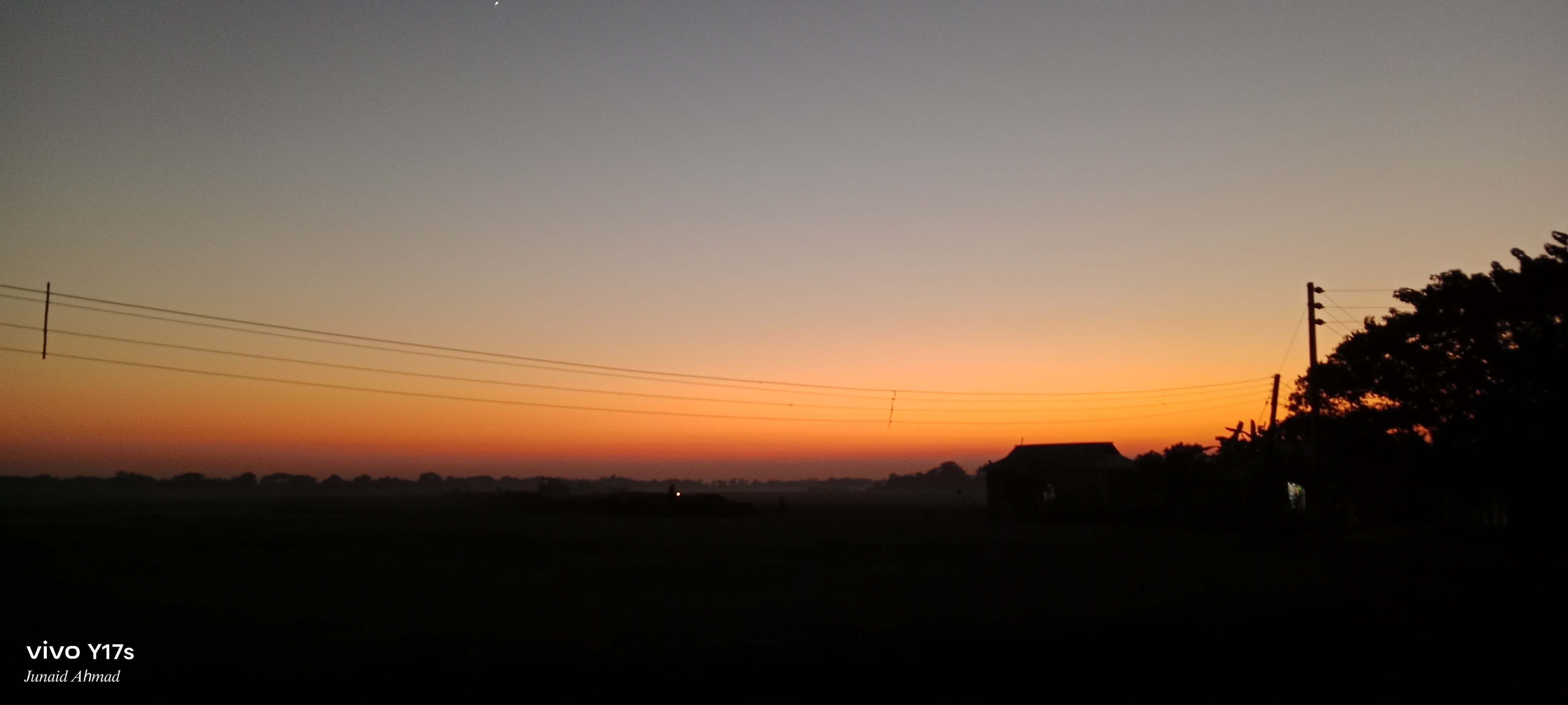 IMG_20241108_173850.jpg