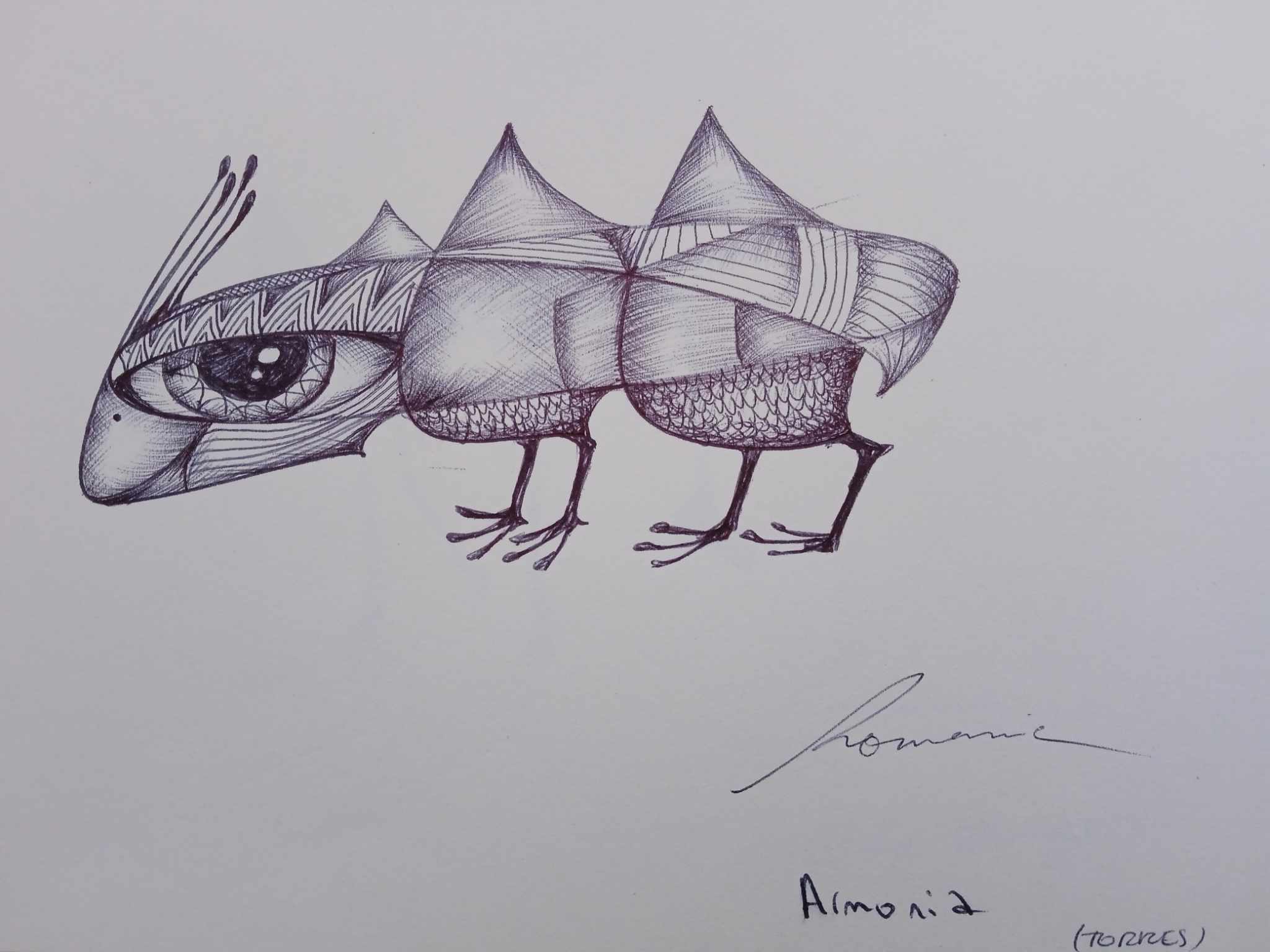 dibujo765B.jpg
