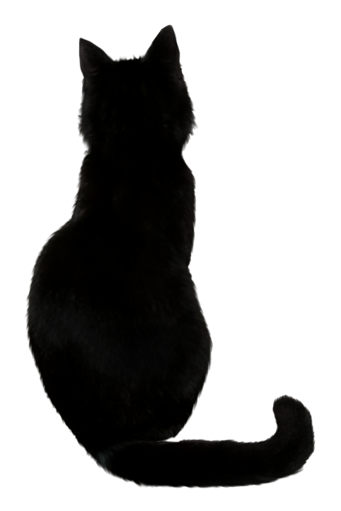 transparent-black-cat-2.png