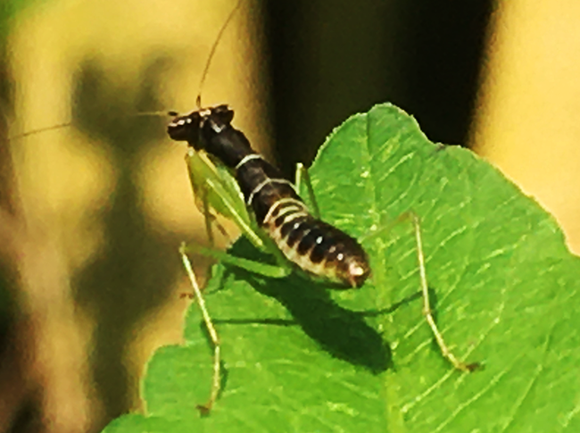 IMG_7915s.png