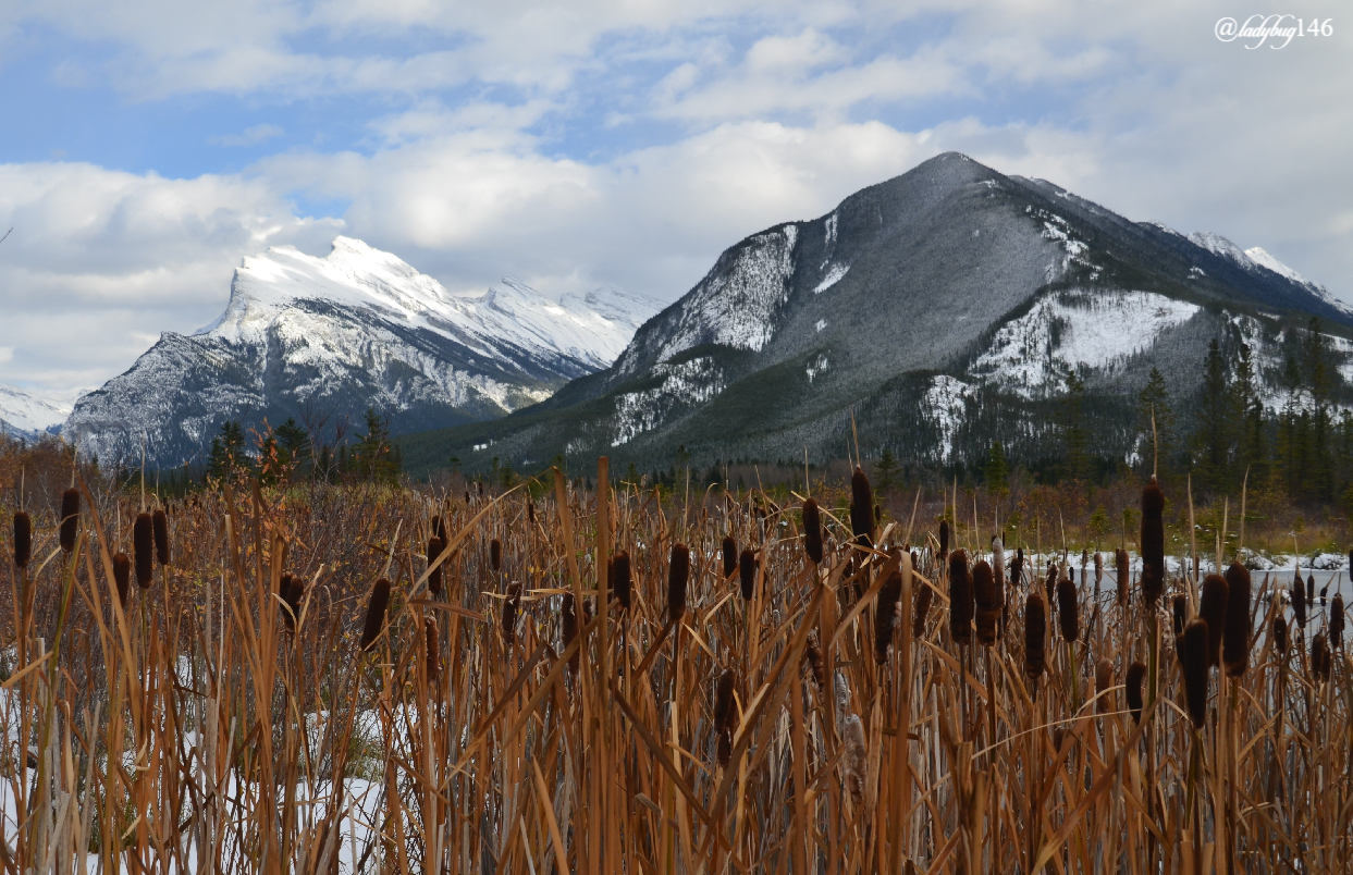 vermillion lakes (8).jpg